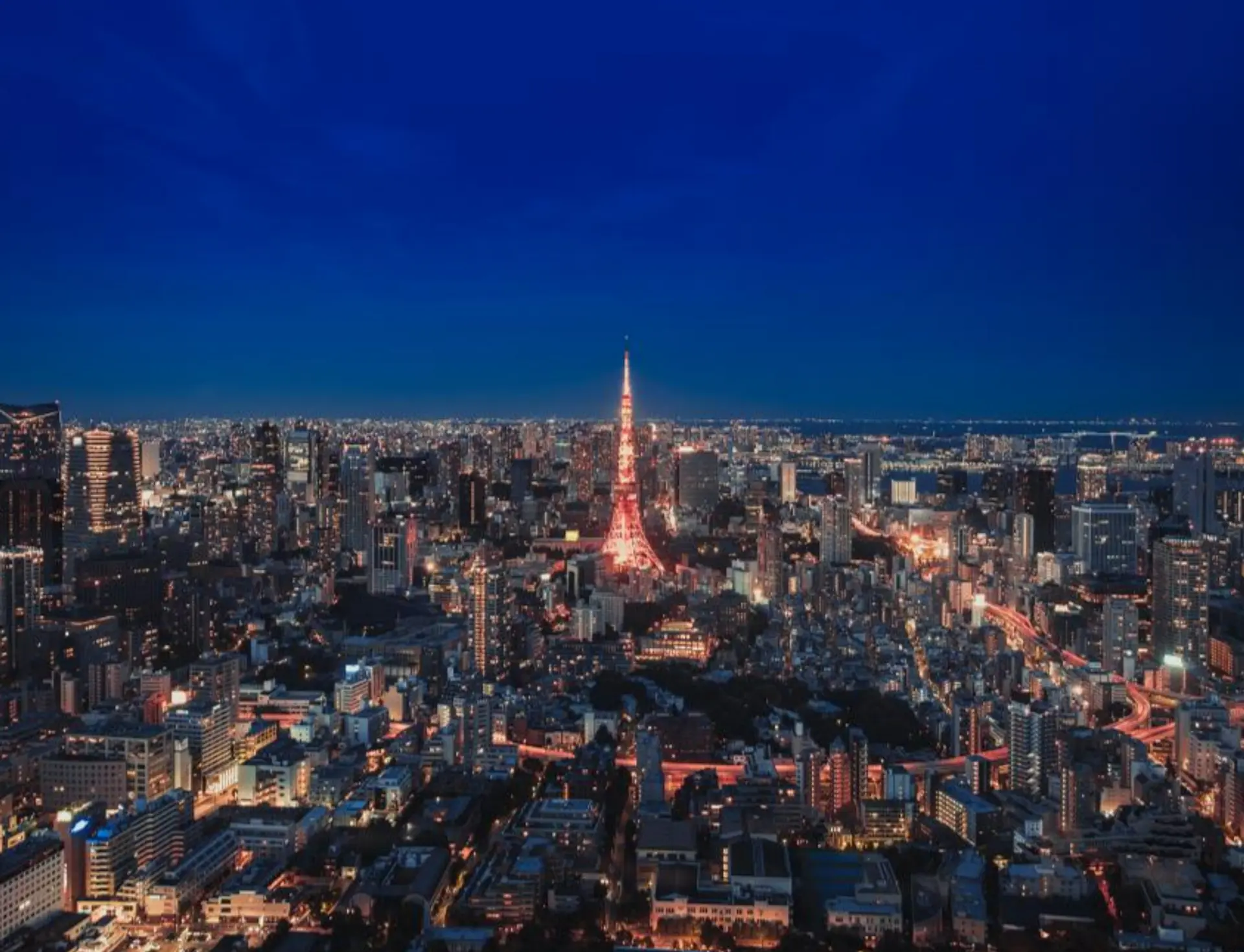 View of the Tokyo Skytree at night
