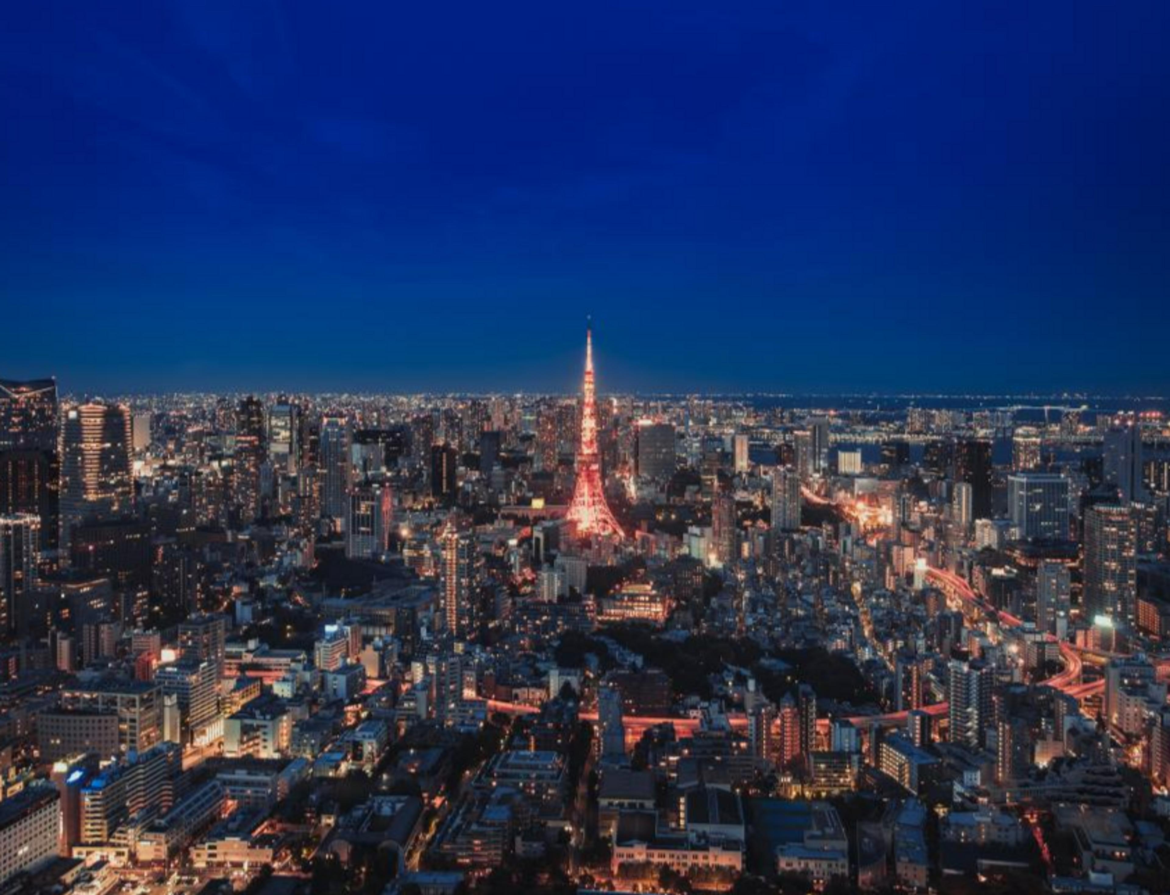 View of the Tokyo Skytree at night