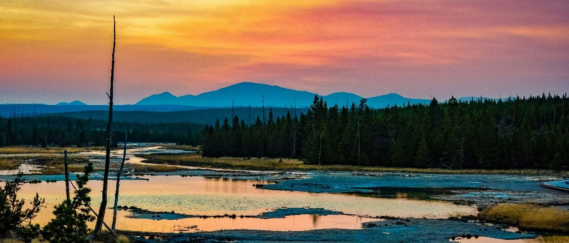 Winging Your Way to Yellowstone & Caribbean Sailing Without Breaking the Bank
