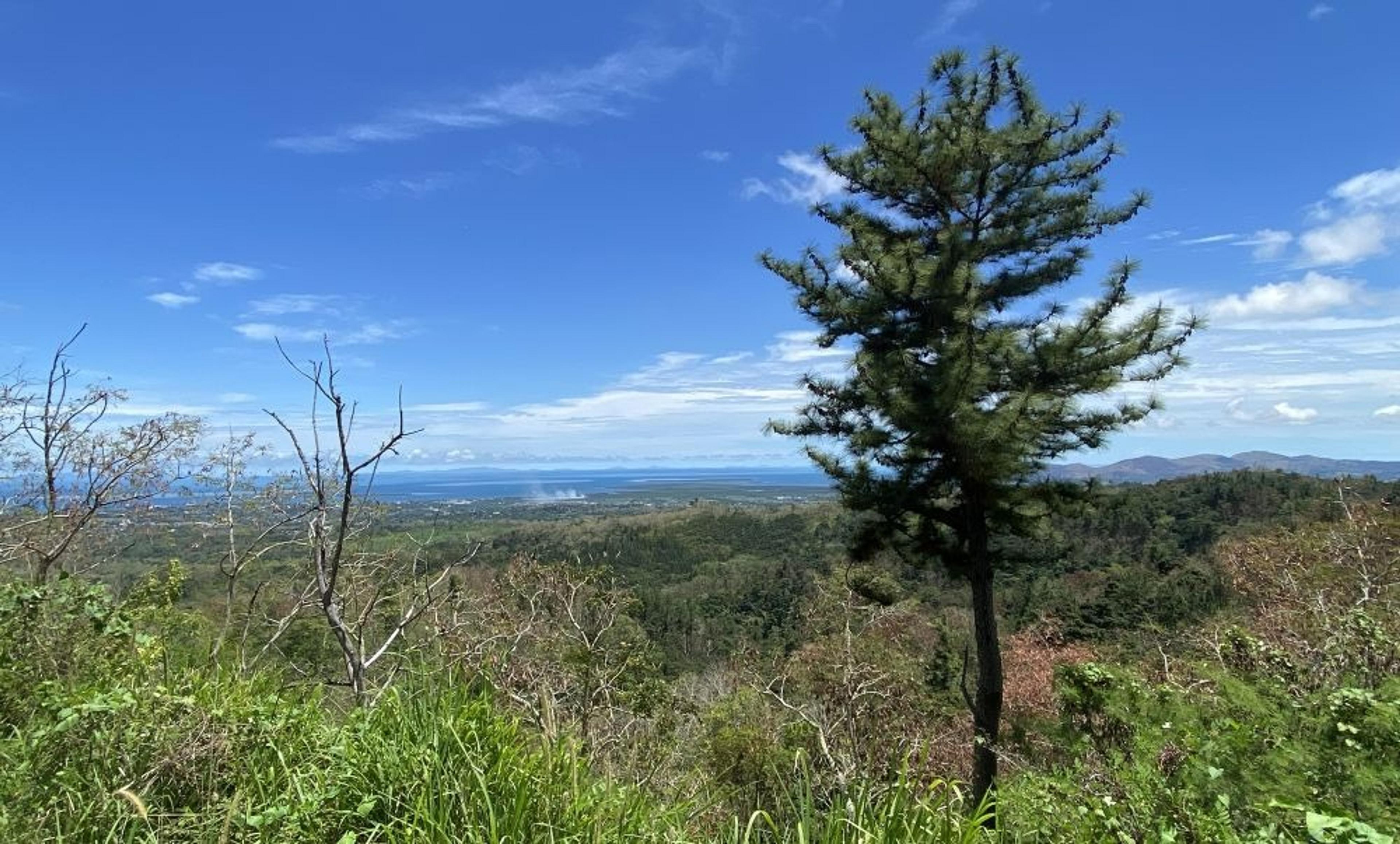 A picturesque view from the hills overlooking the sea and lush landscape.