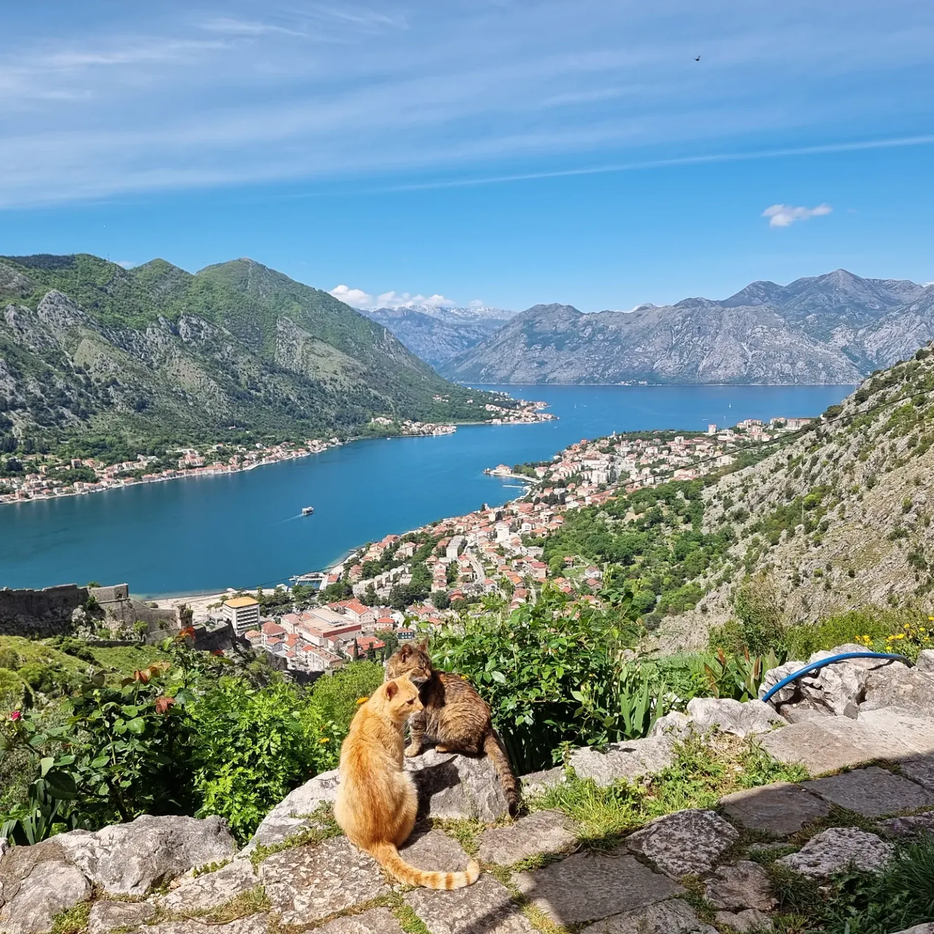 Postcard from Gem