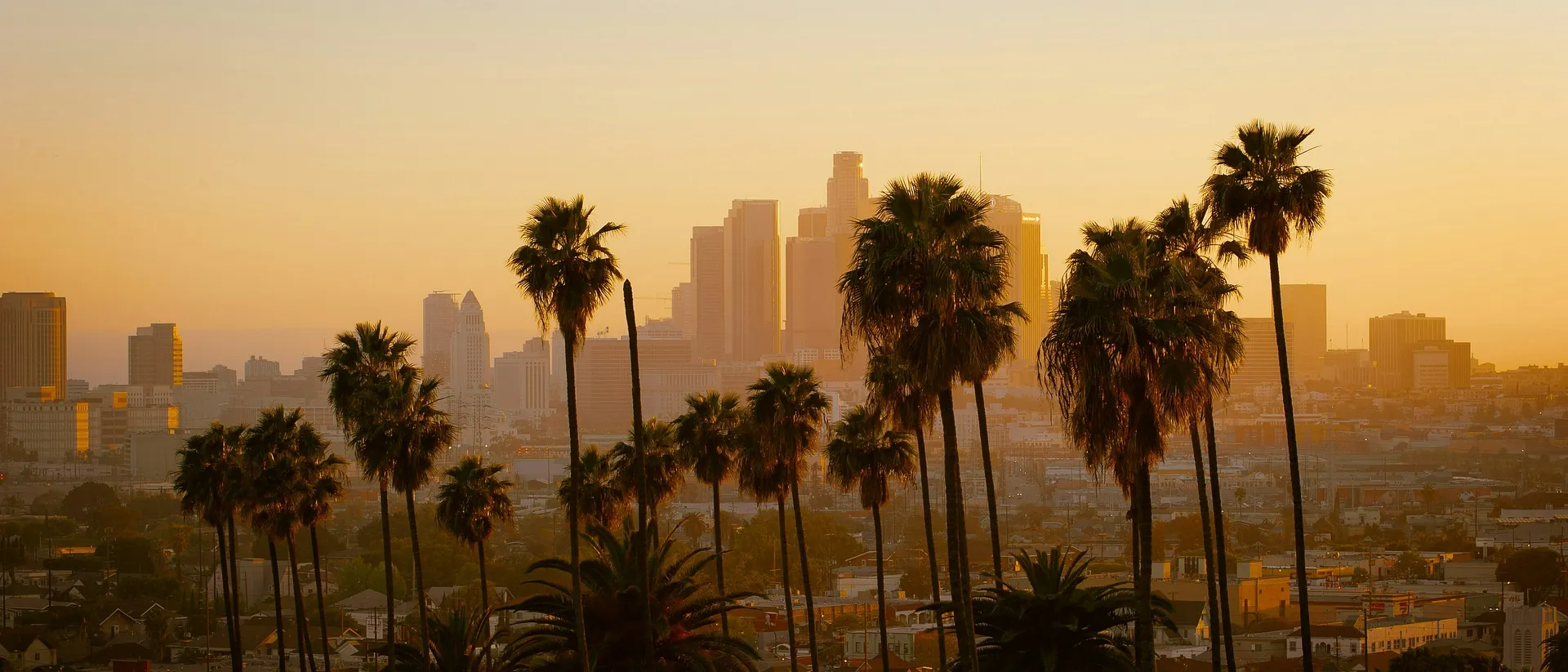Jack's Guide To: Los Angeles