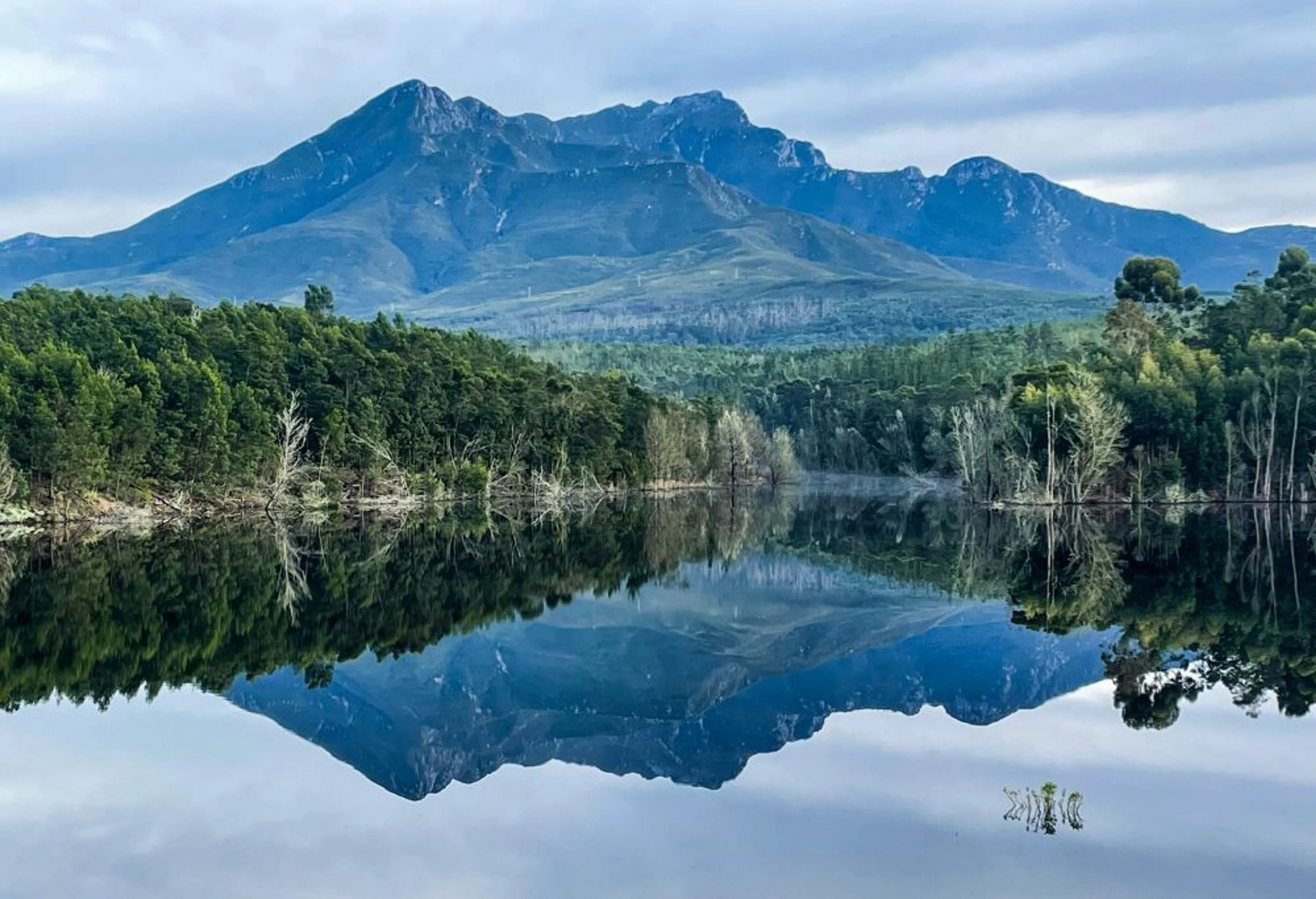 Majestic reflections of the Outeniqua Mountains grace the serene waters near George, South Africa.