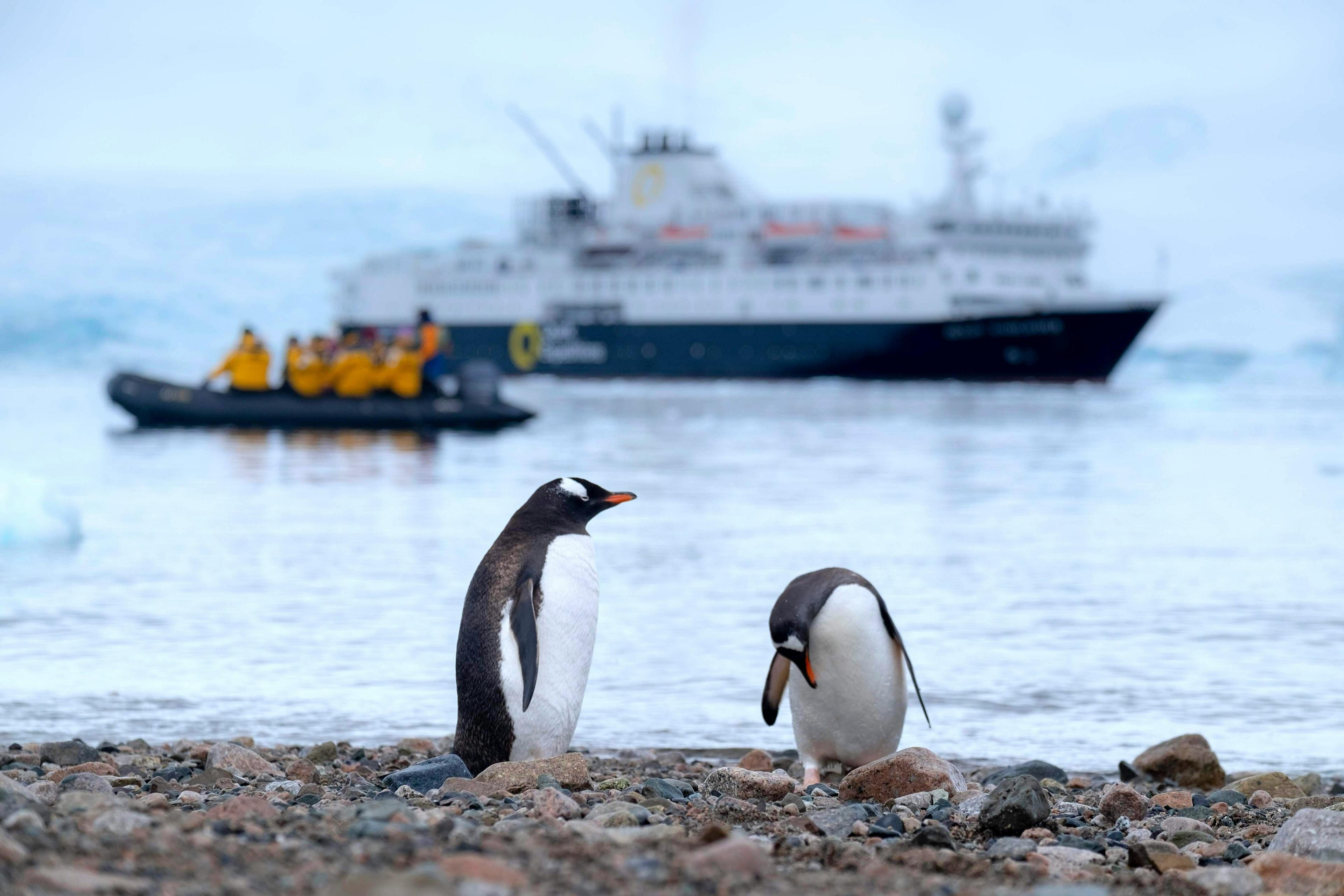 Two penguins stand on a rocky shore in Antarctica with a cruise ship and a group of tourists arriving in a rubber boat in the background.