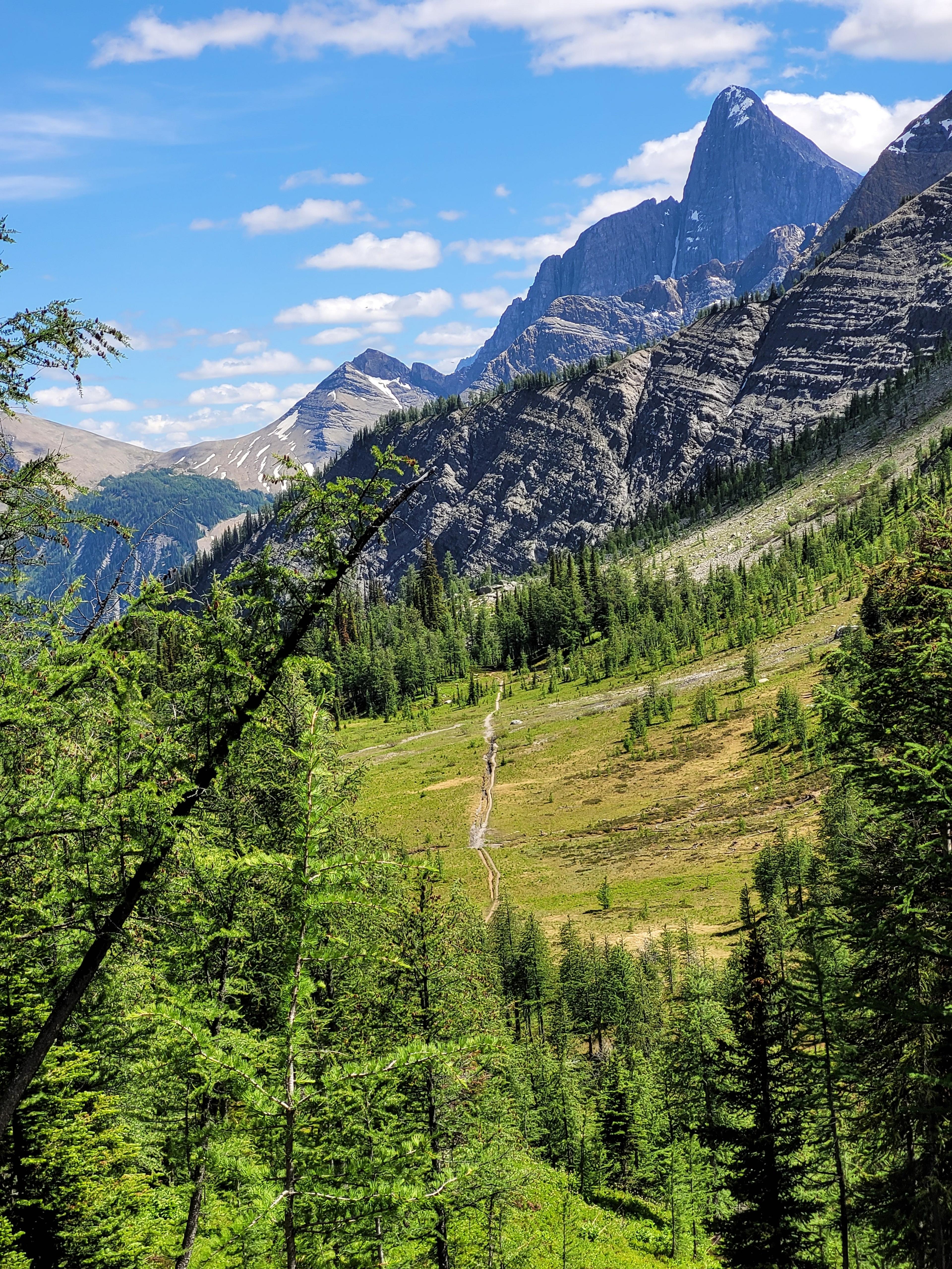 A breathtaking view of the towering mountains in Kootenay, Alberta, framed by lush greenery and a winding trail.