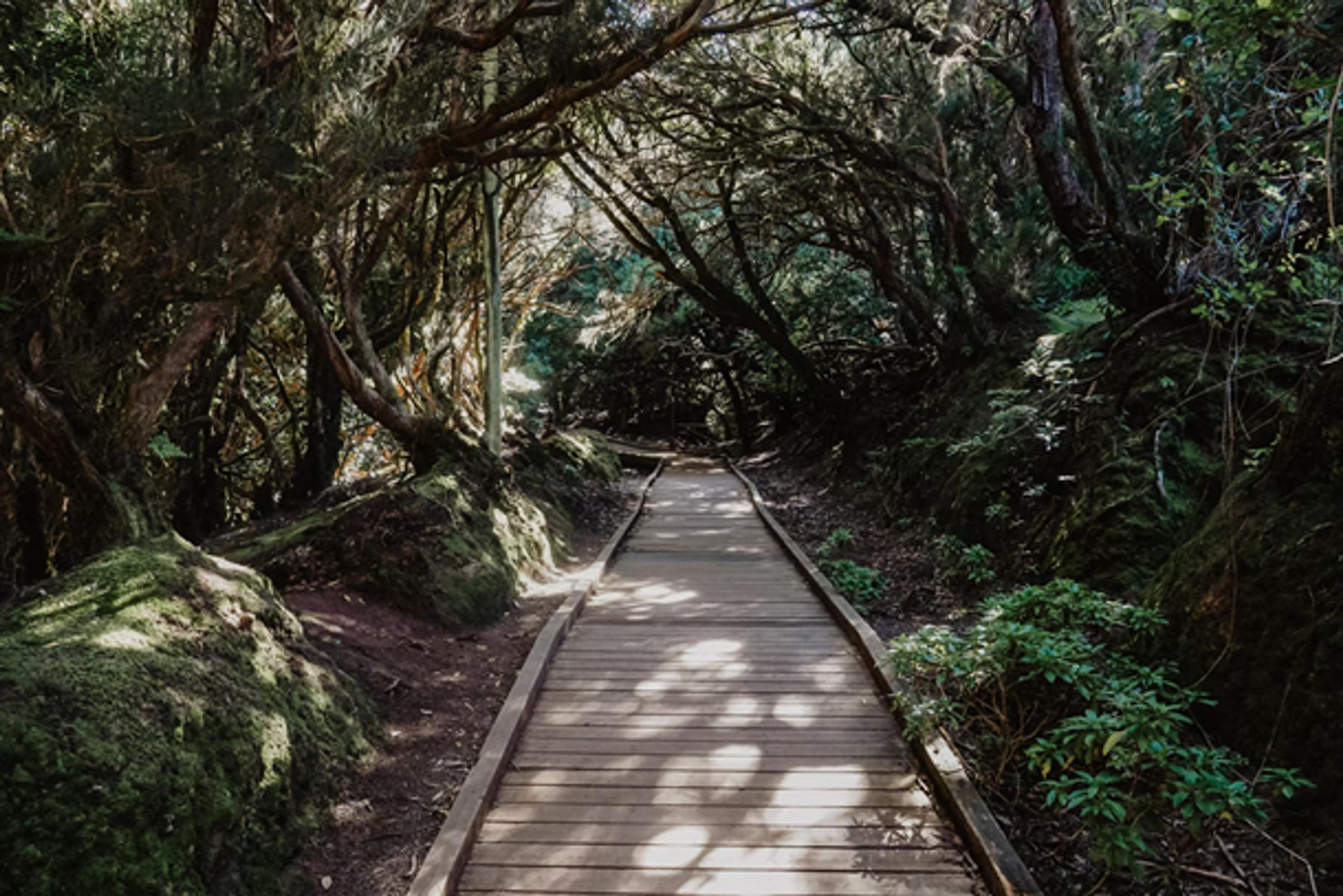 Anaga rural park in Tenerife