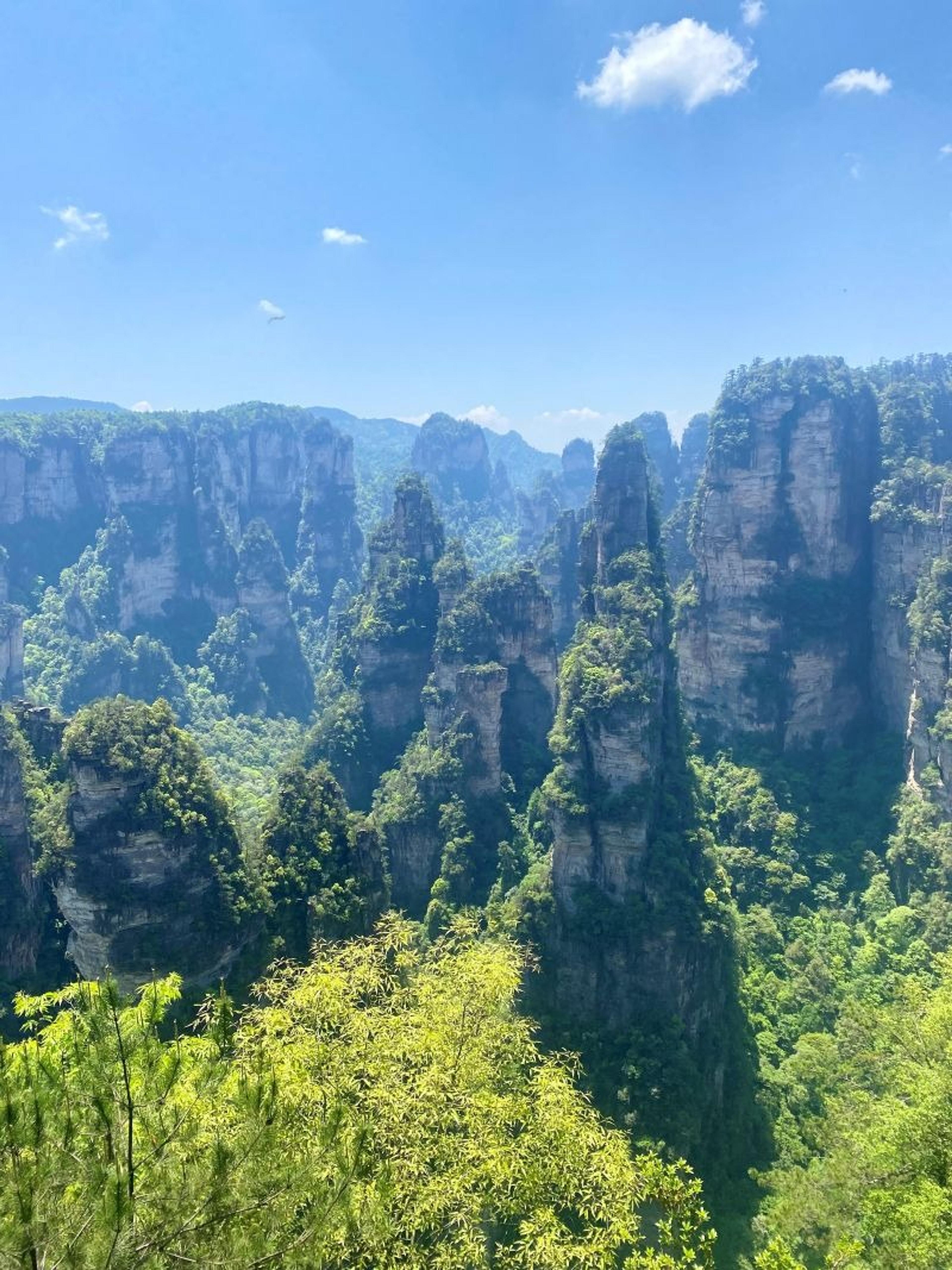 Towering sandstone pillars covered in lush greenery rise majestically in Zhangjiajie National Forest Park, China.