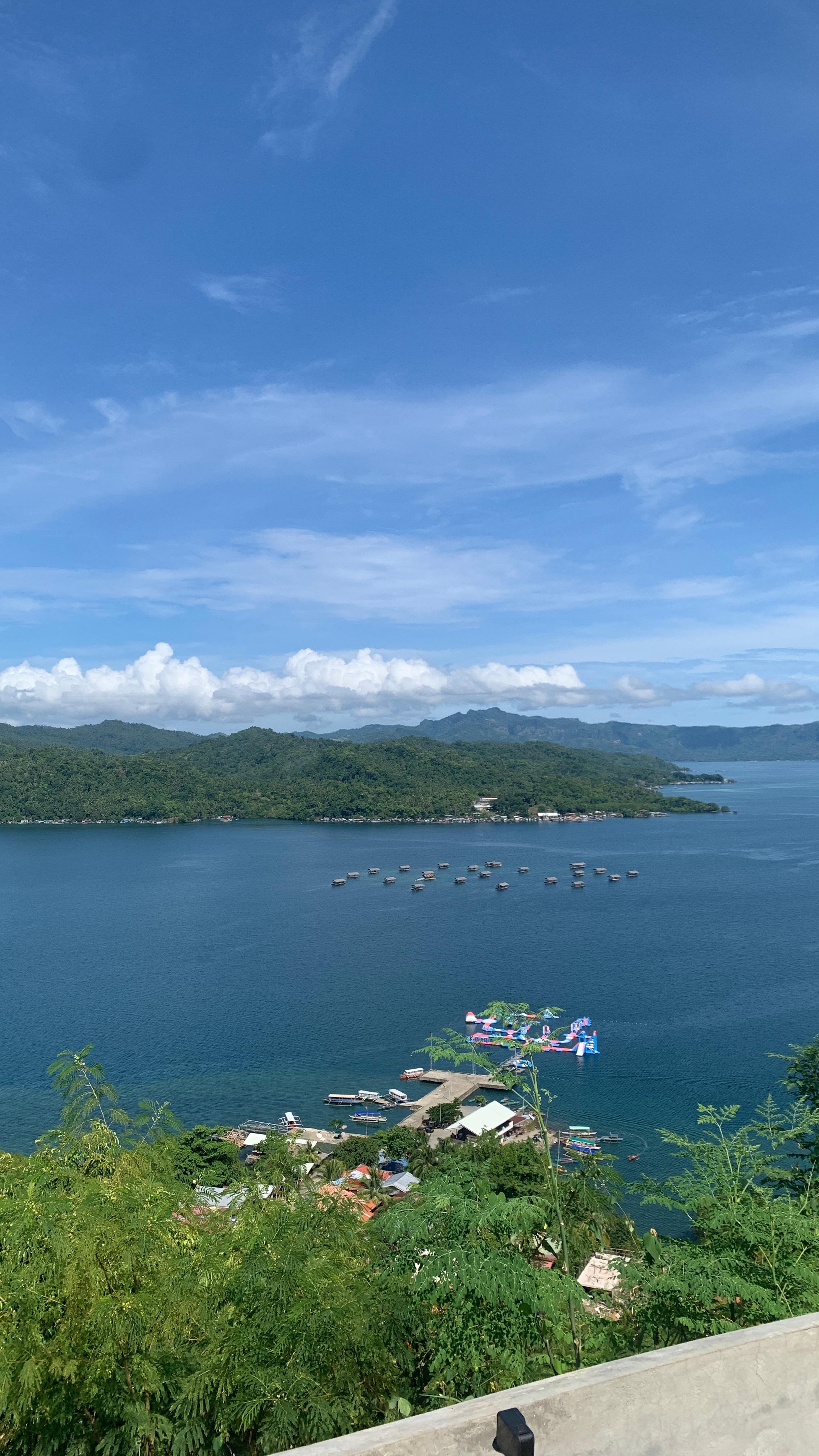 Postcard from Jackie