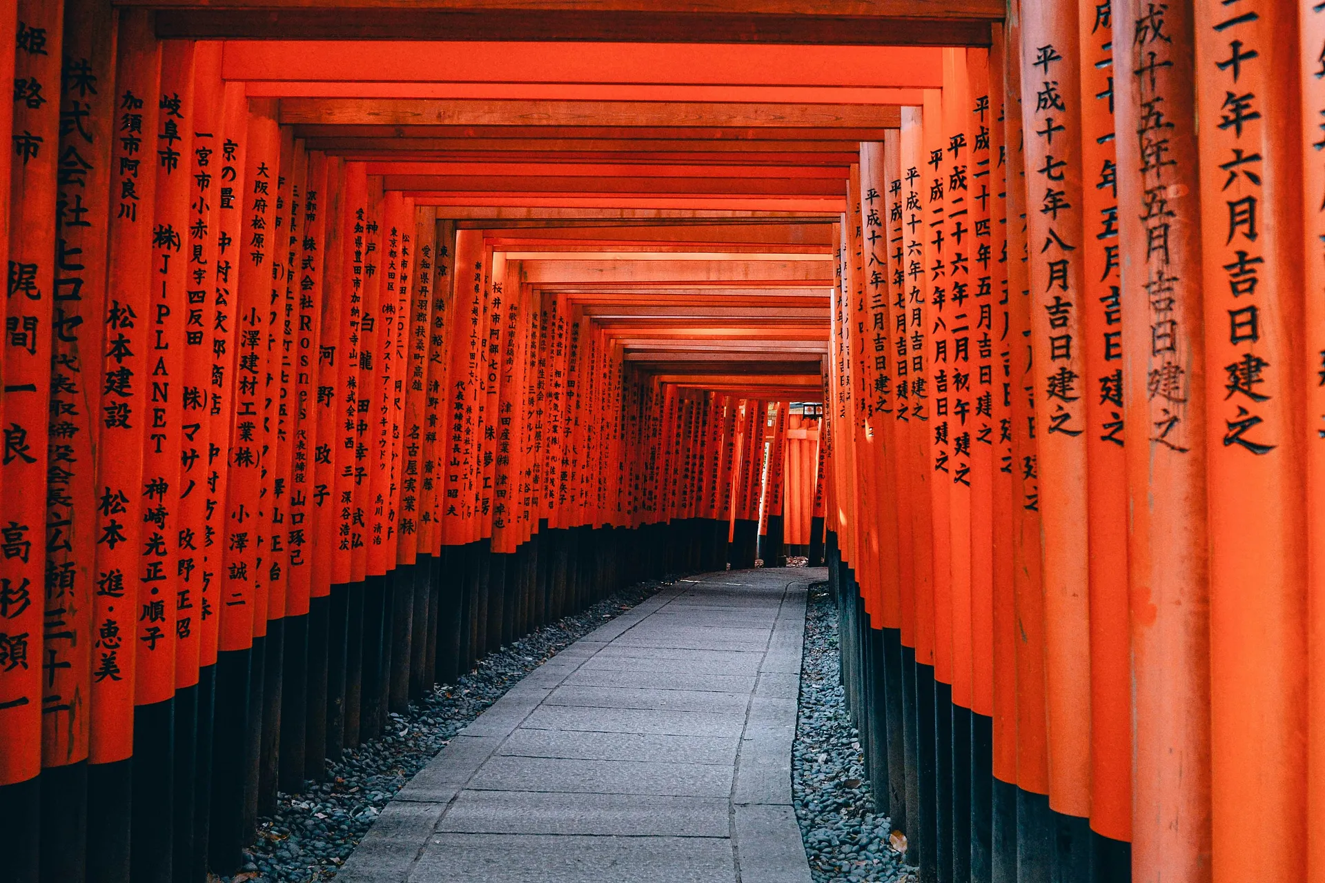 Silk Road to Sakura: A Choose-Your-Own Adventure