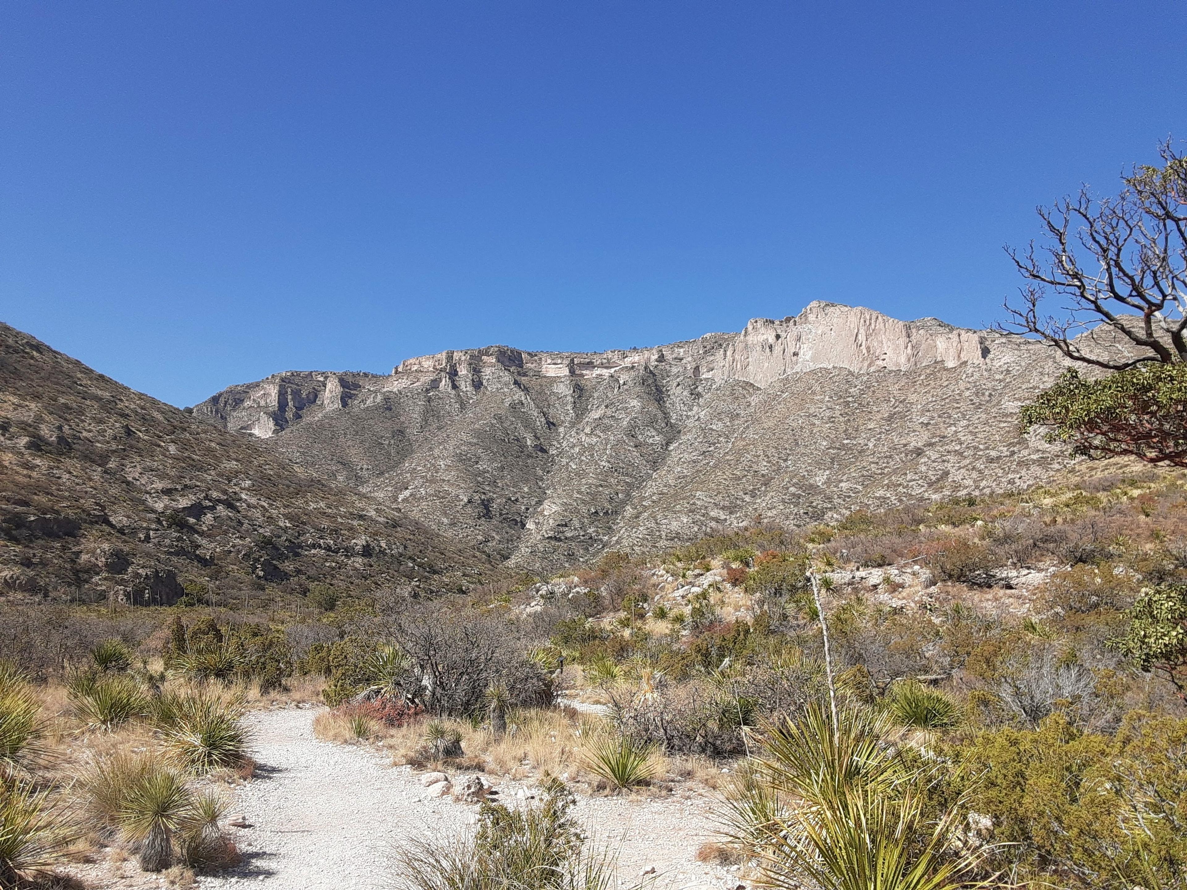 A pathway weaves through the rugged desert landscape of Guadalupe Mountains National Park under a clear blue sky.