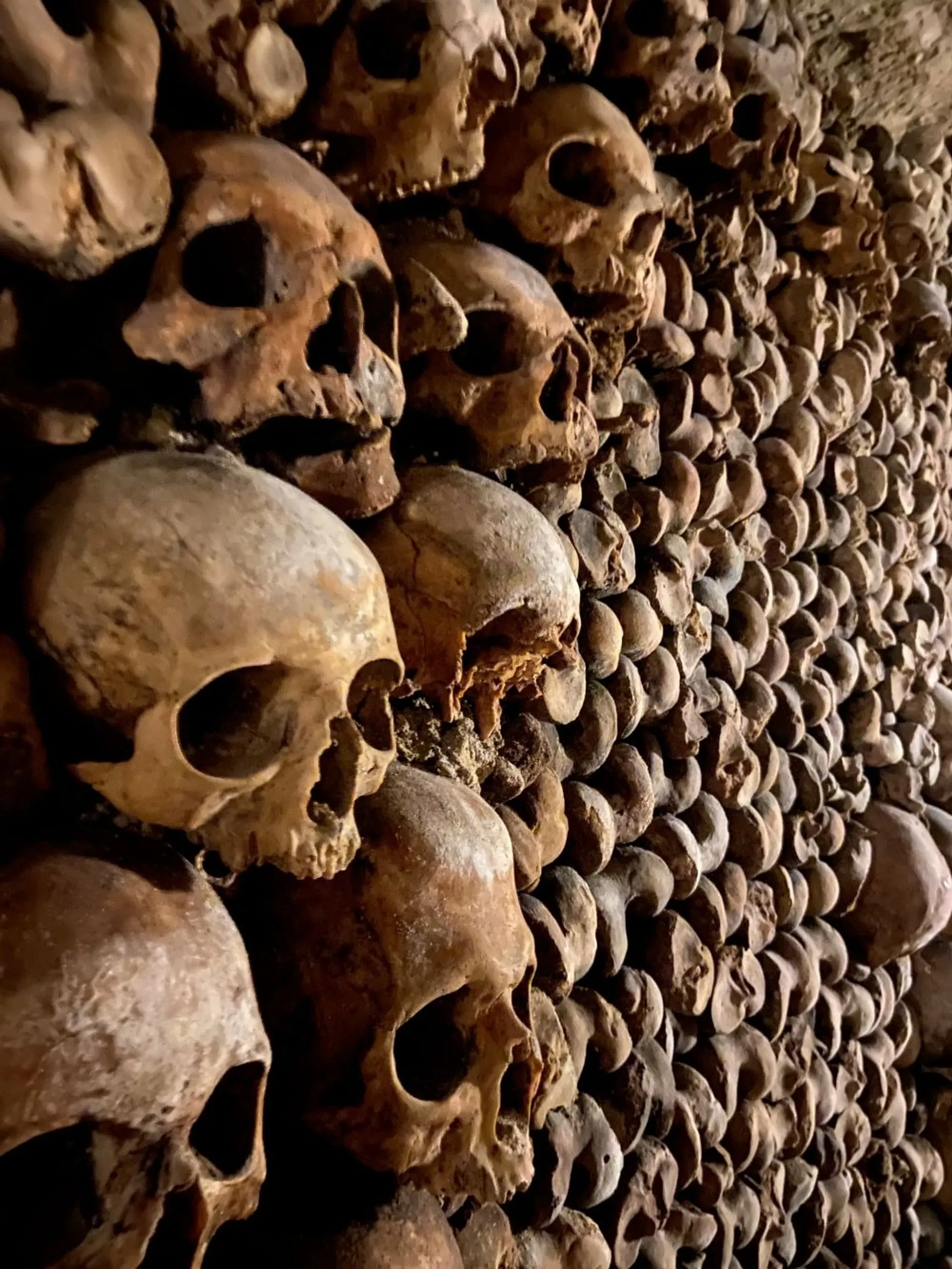 Skulls hanging on a wall of the Paris Catacombs