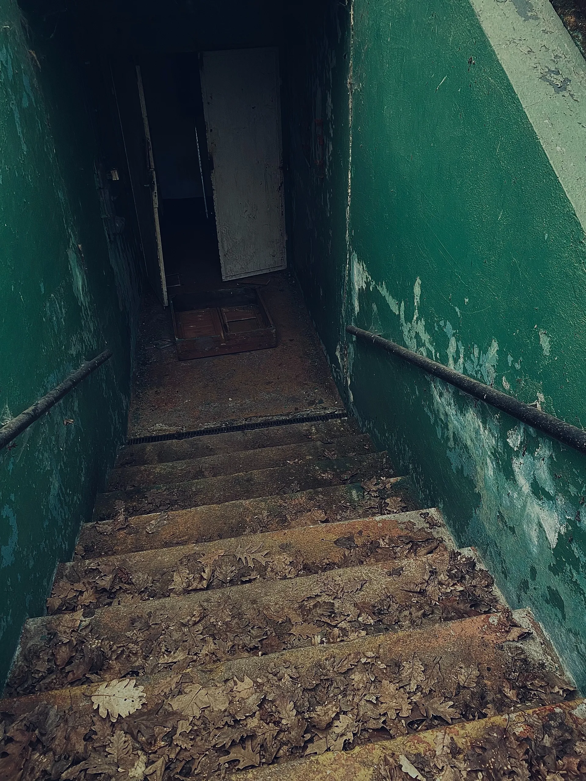 A crumbling entrance to the concrete bunker blanketed by thick leaves and rust