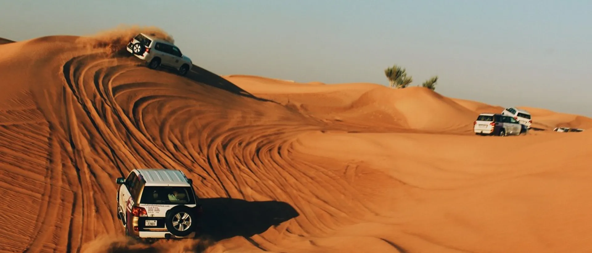 Dubai Desert Dunes