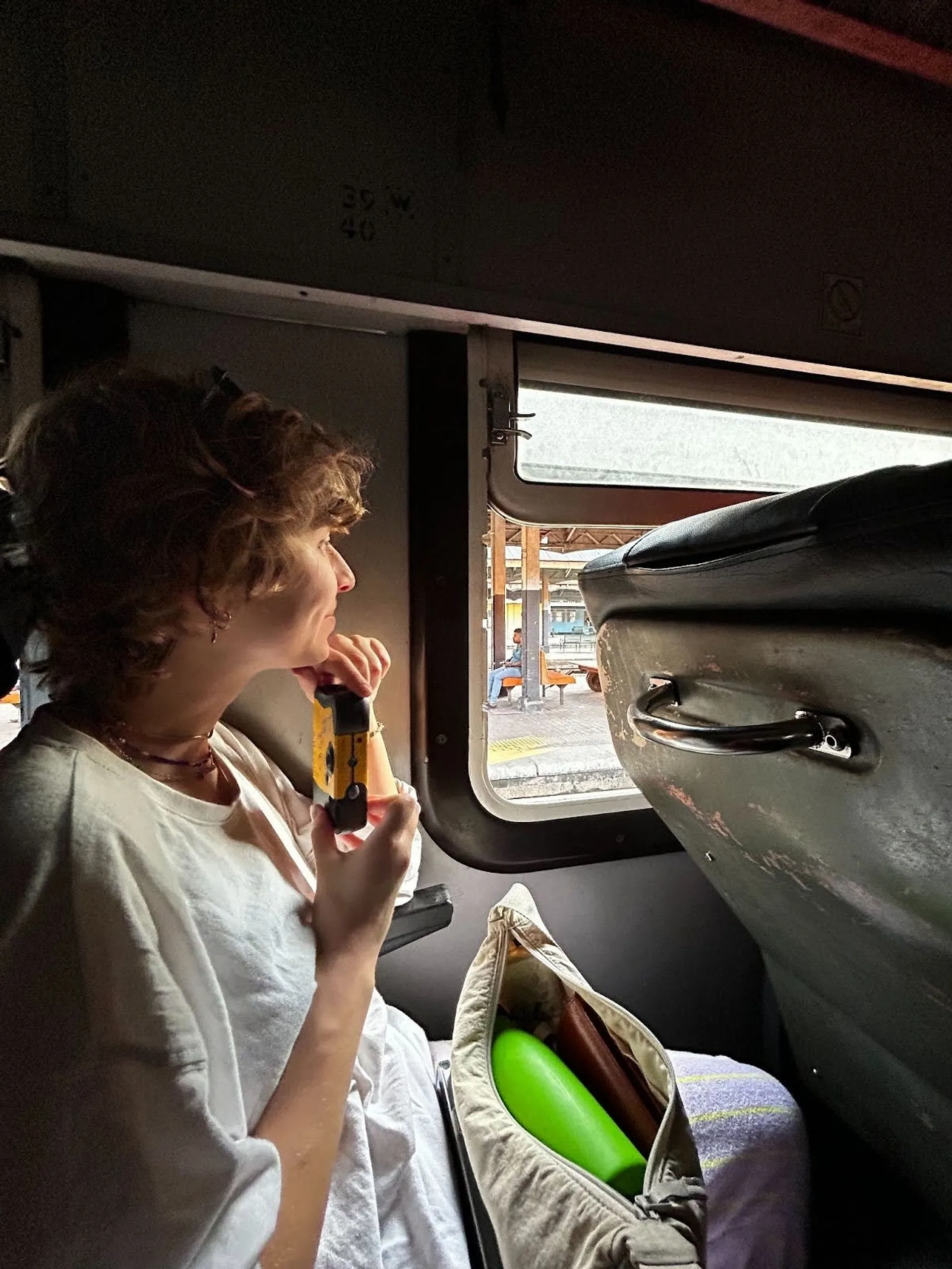 Fran looks out the window of a train
