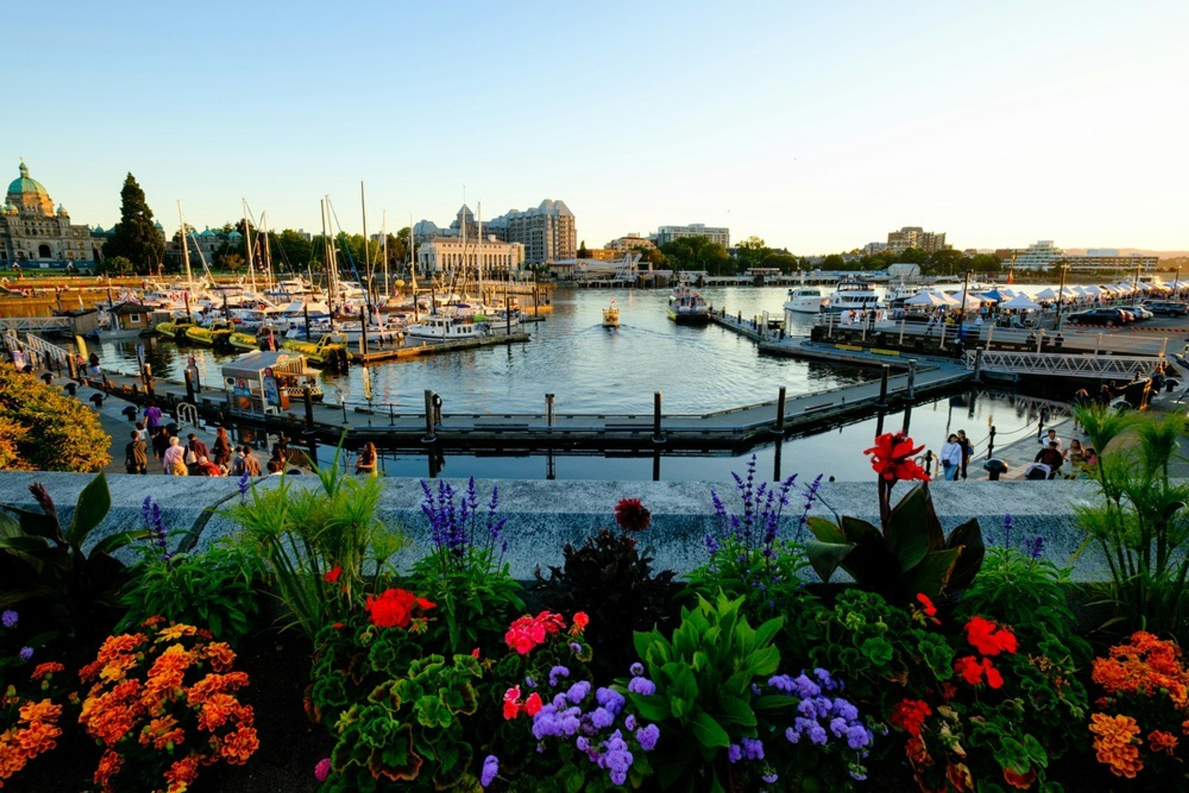 A scenic view of Victoria Harbour in British Columbia, adorned with vibrant flowers in the foreground and surrounded by boats and historical buildings.