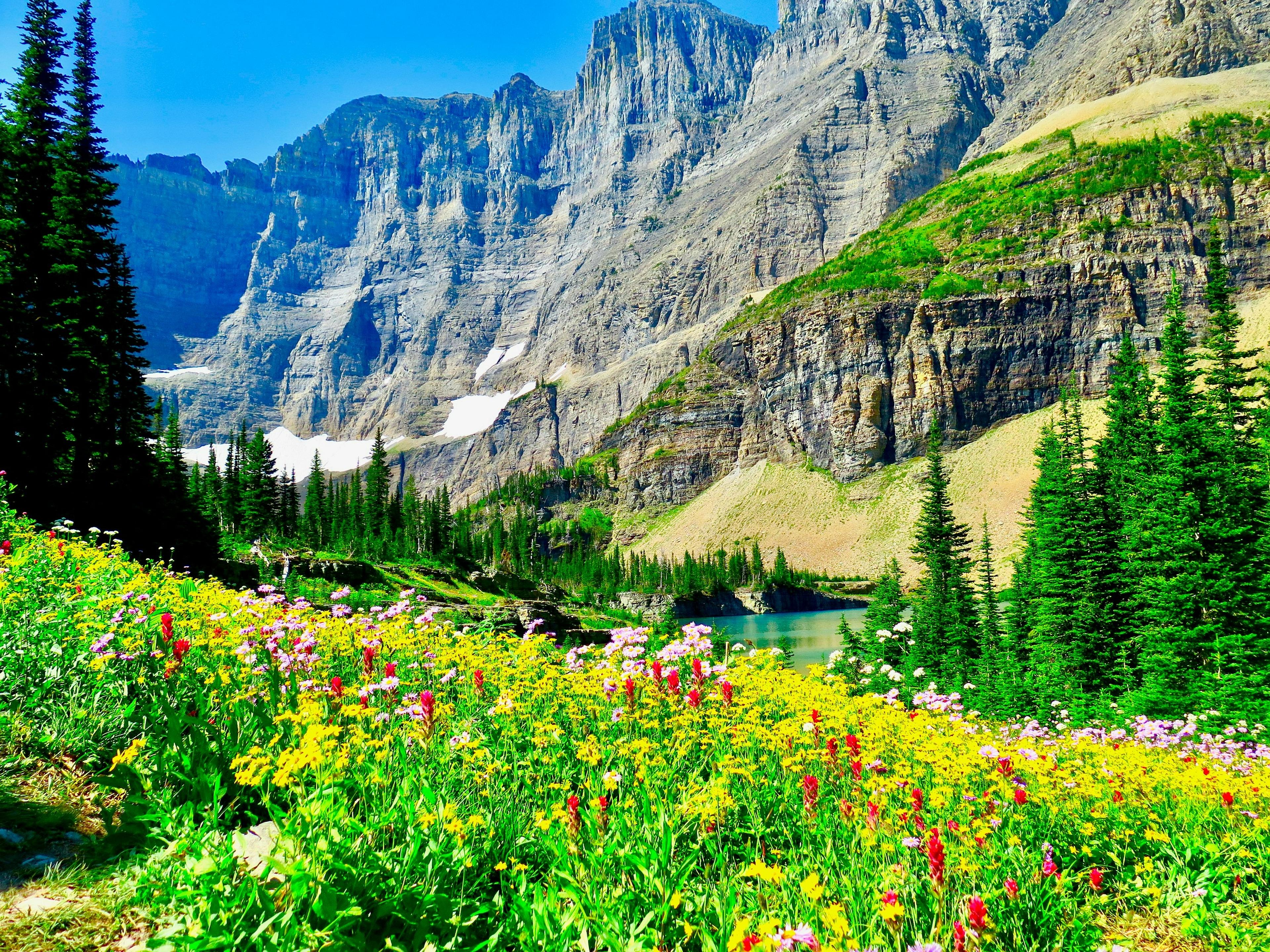 Passport to the Parks: Meet Glacier National Park