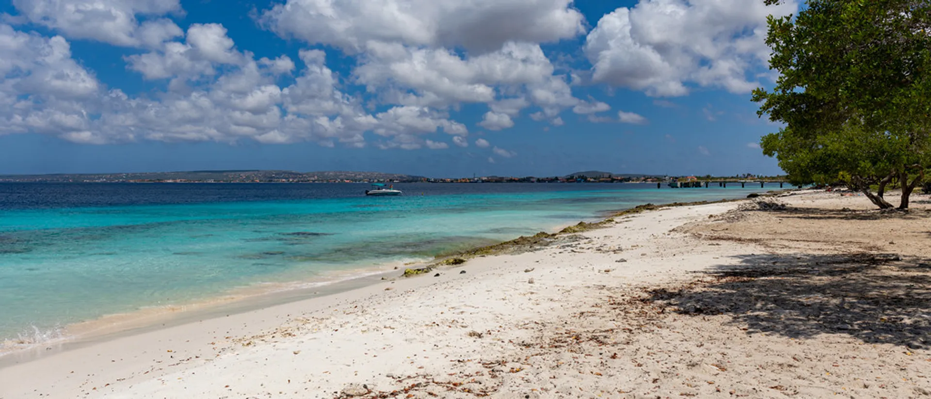 Leeward Antilles