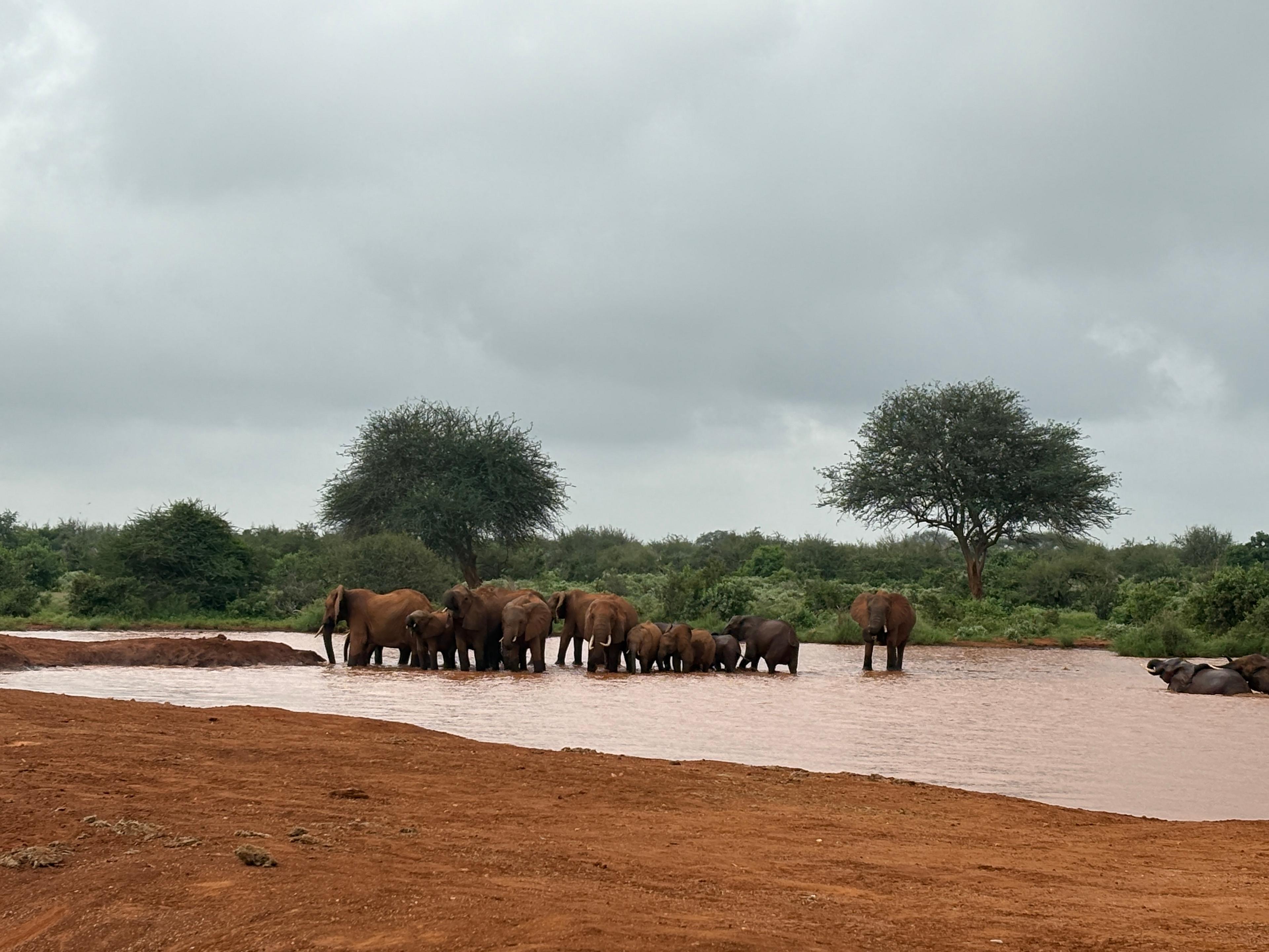 Postcard from Amanda