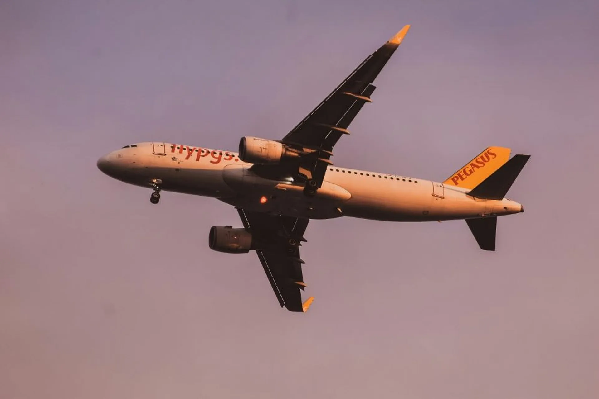 Pegasus plane in flight
