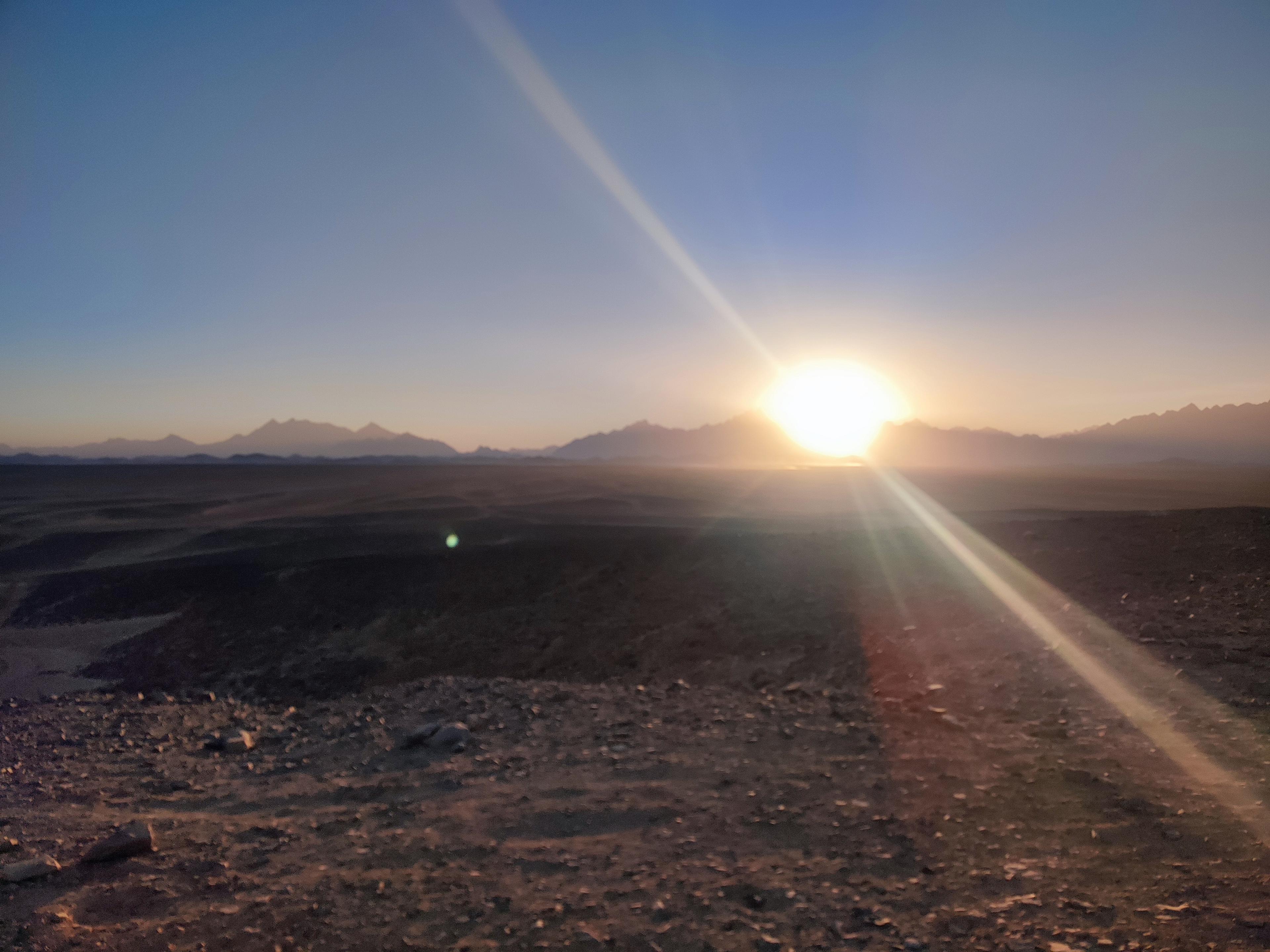 Postcard from Lisanne 