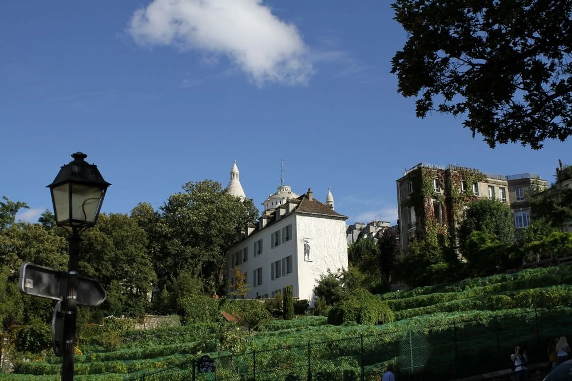 11 Delightfully Offbeat Things To Do In Paris