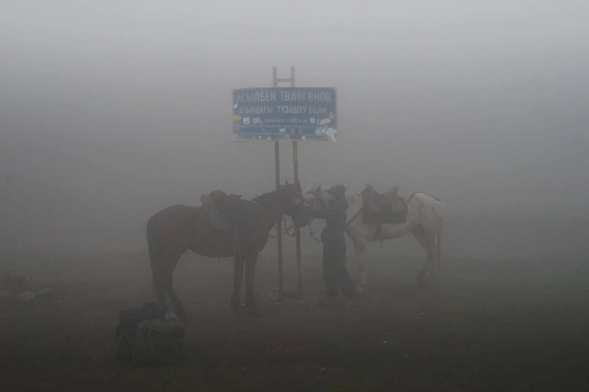 A misty scene in Kyrgyzstan features two horses and a person near a sign with Cyrillic script.