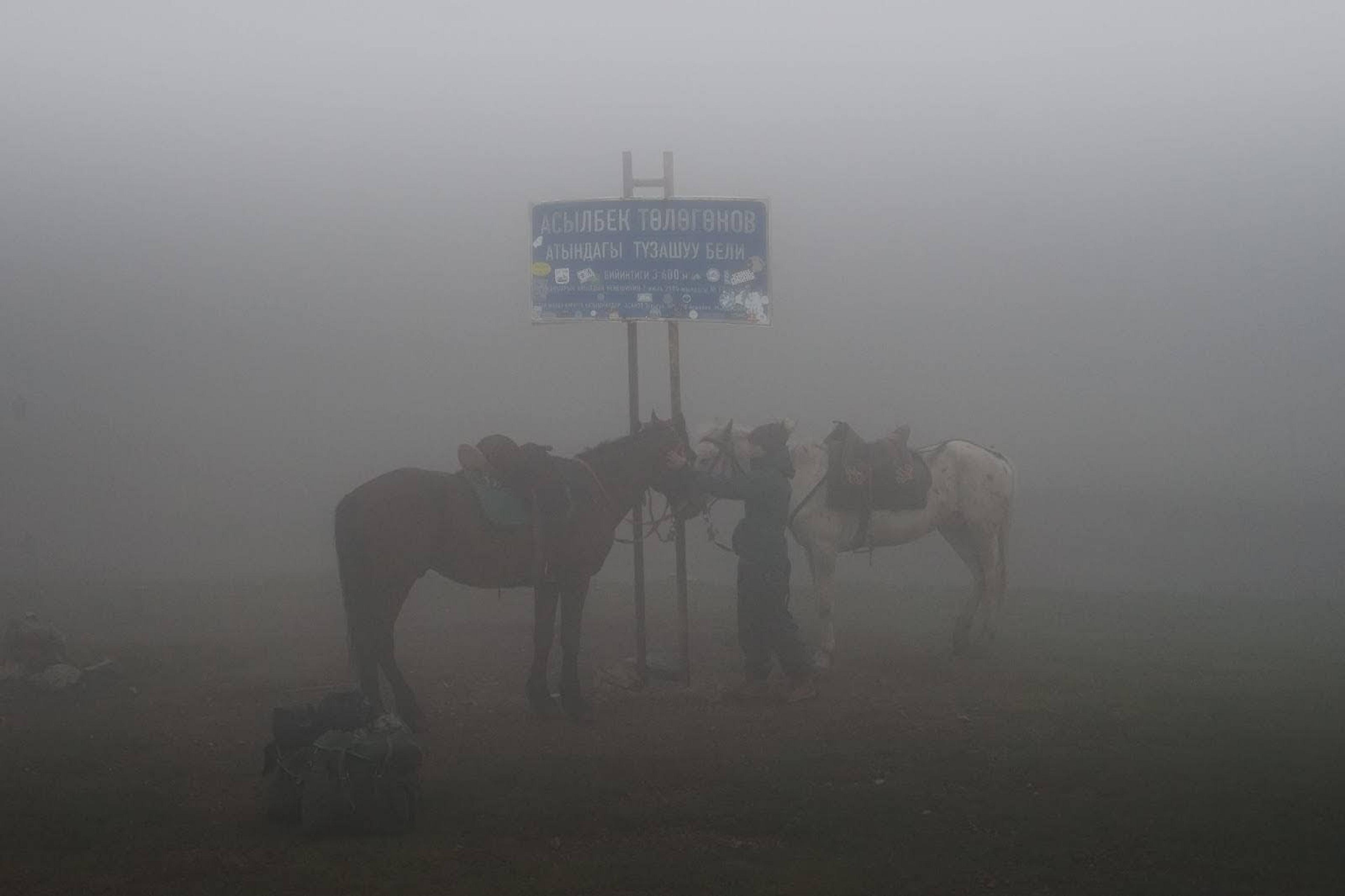 A misty scene in Kyrgyzstan features two horses and a person near a sign with Cyrillic script.