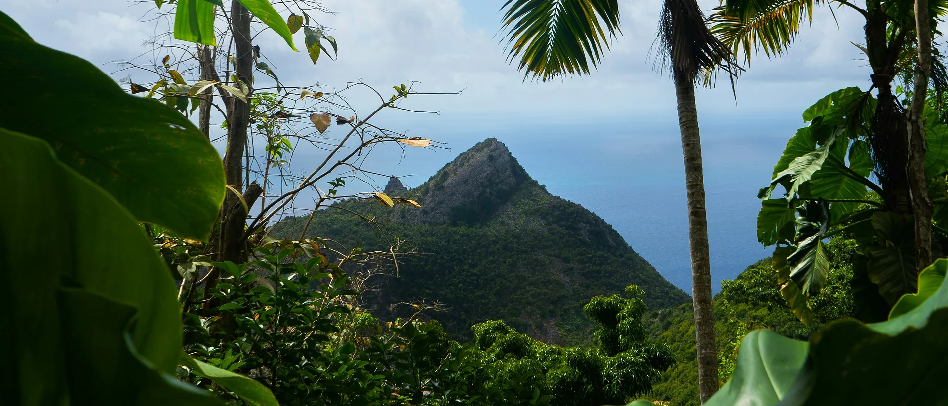 Saba