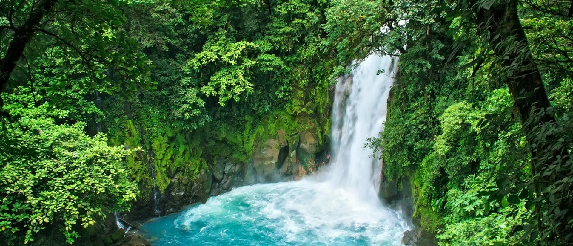 Costa Rica 🦥 at $305 RT from Toronto