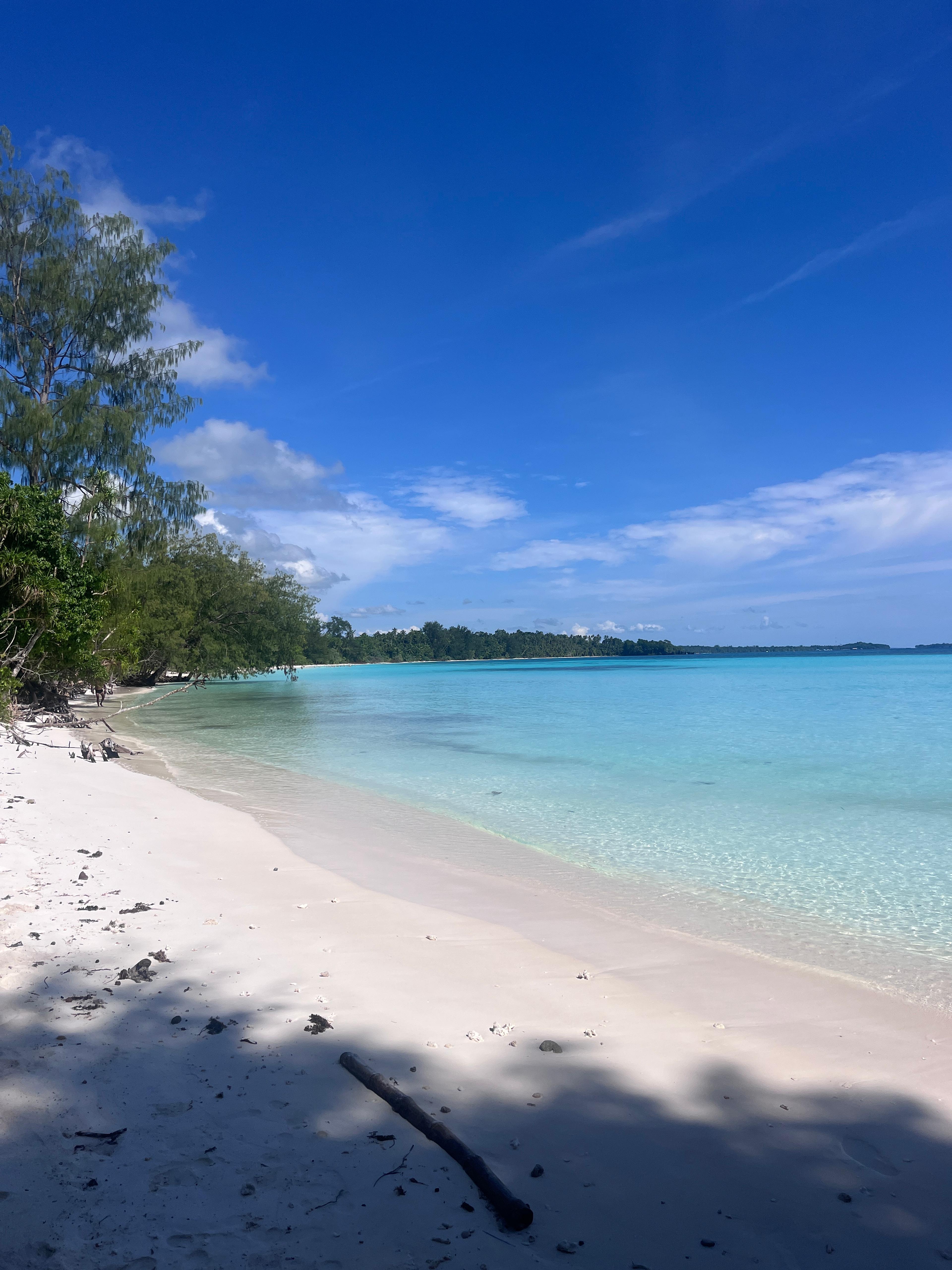 Postcard from Barbara 