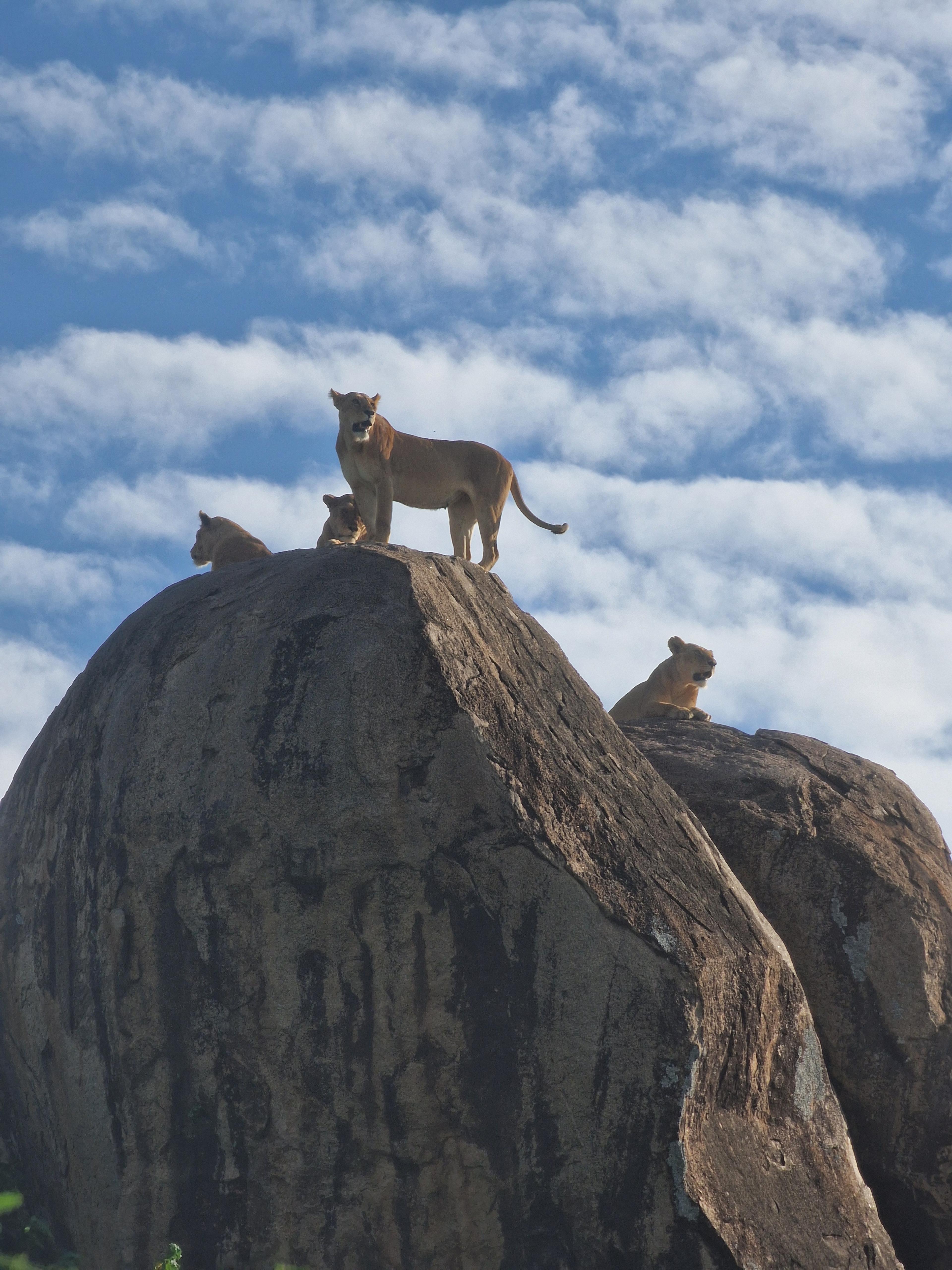 Postcard from Jeroen