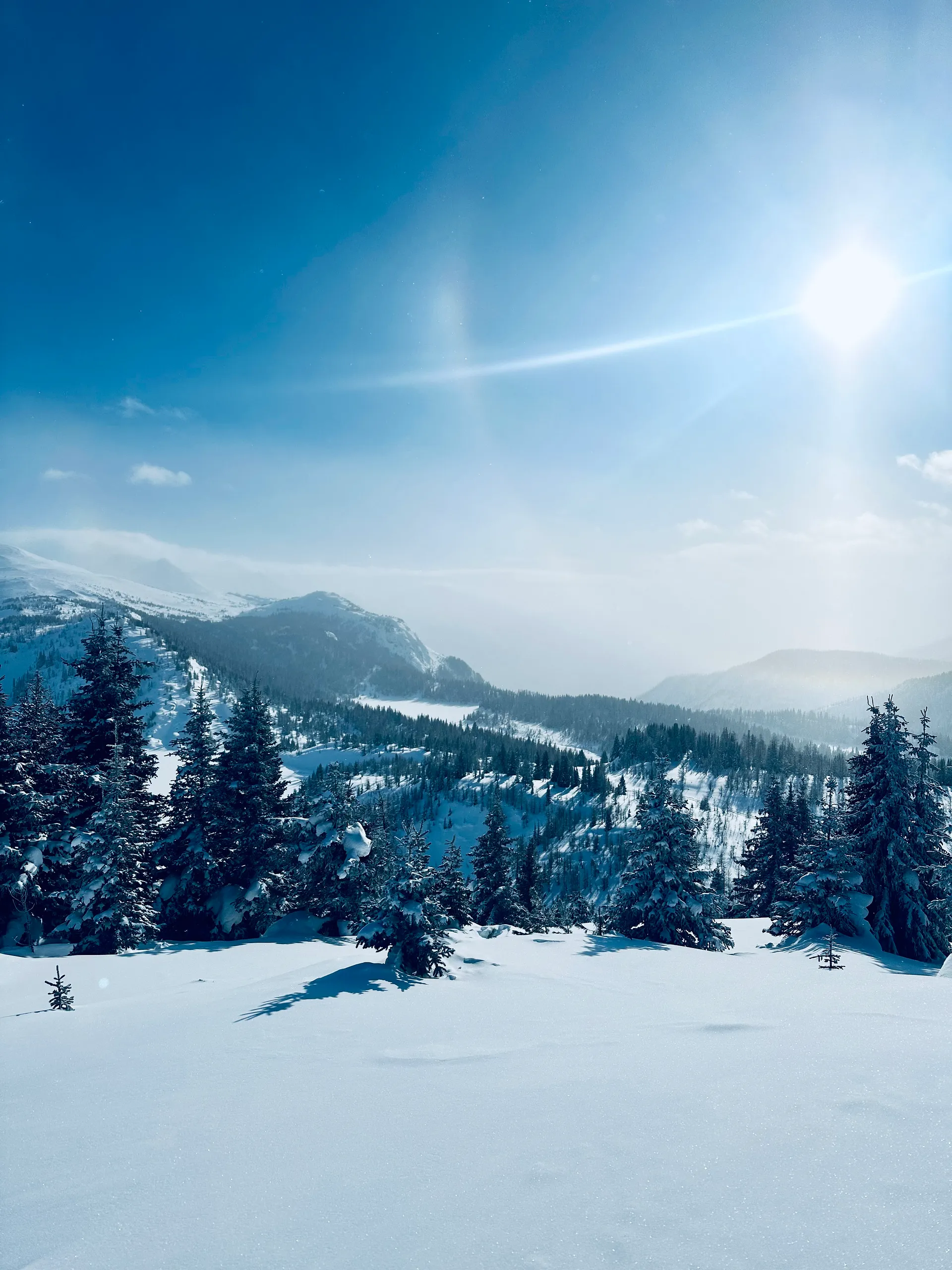 Postcard from Alisse