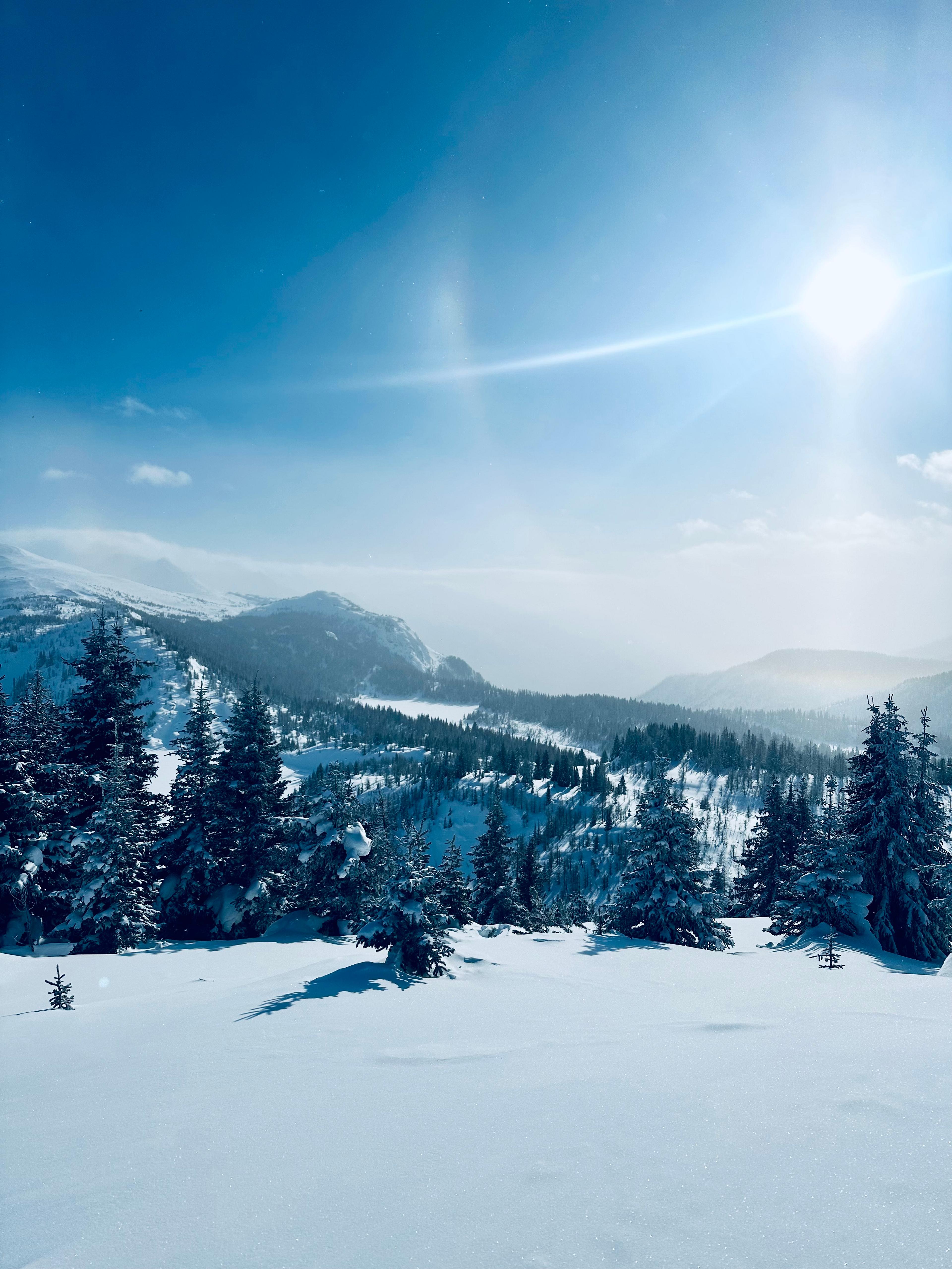 Postcard from Alisse