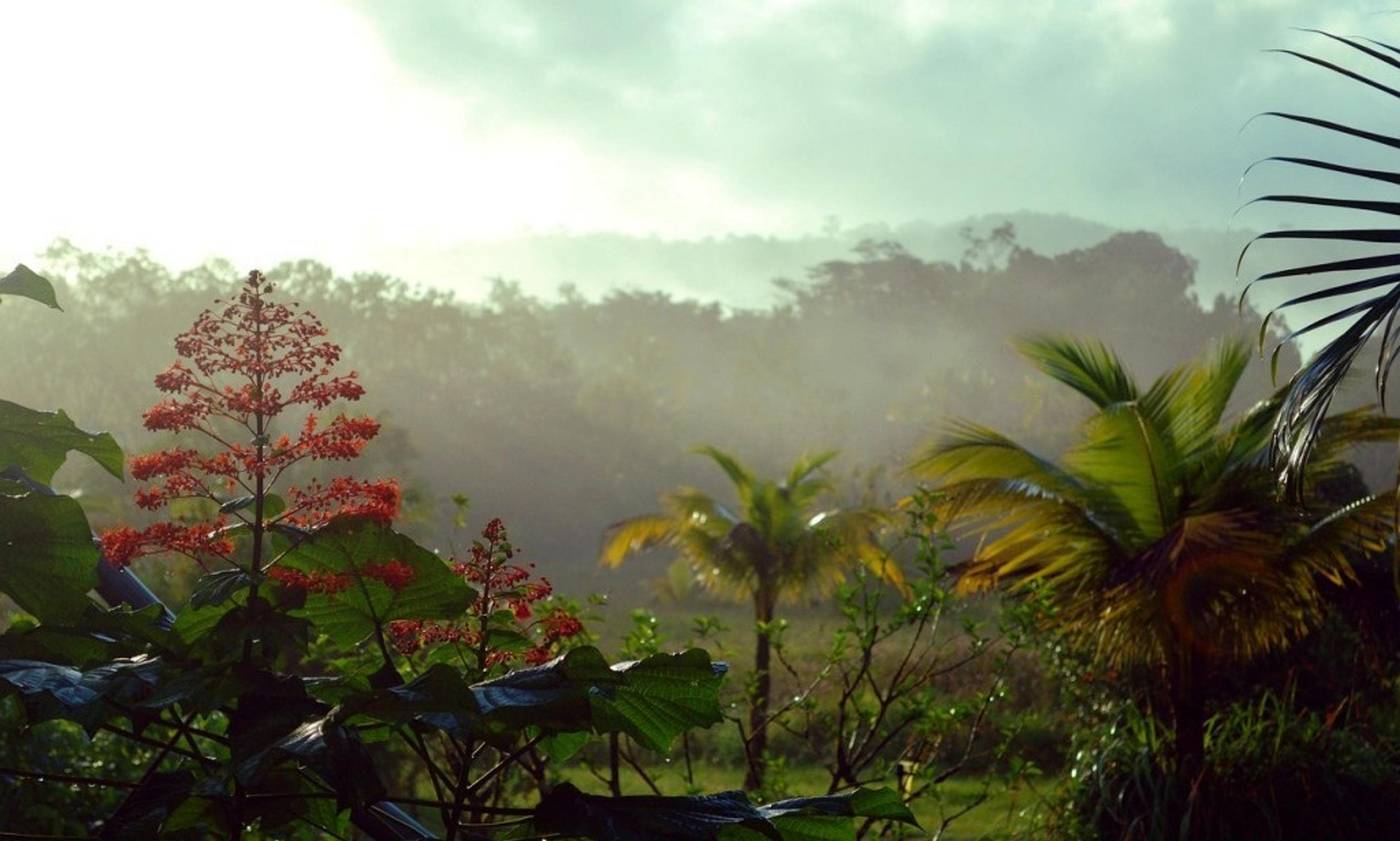 The South American Countries We Never Talk About