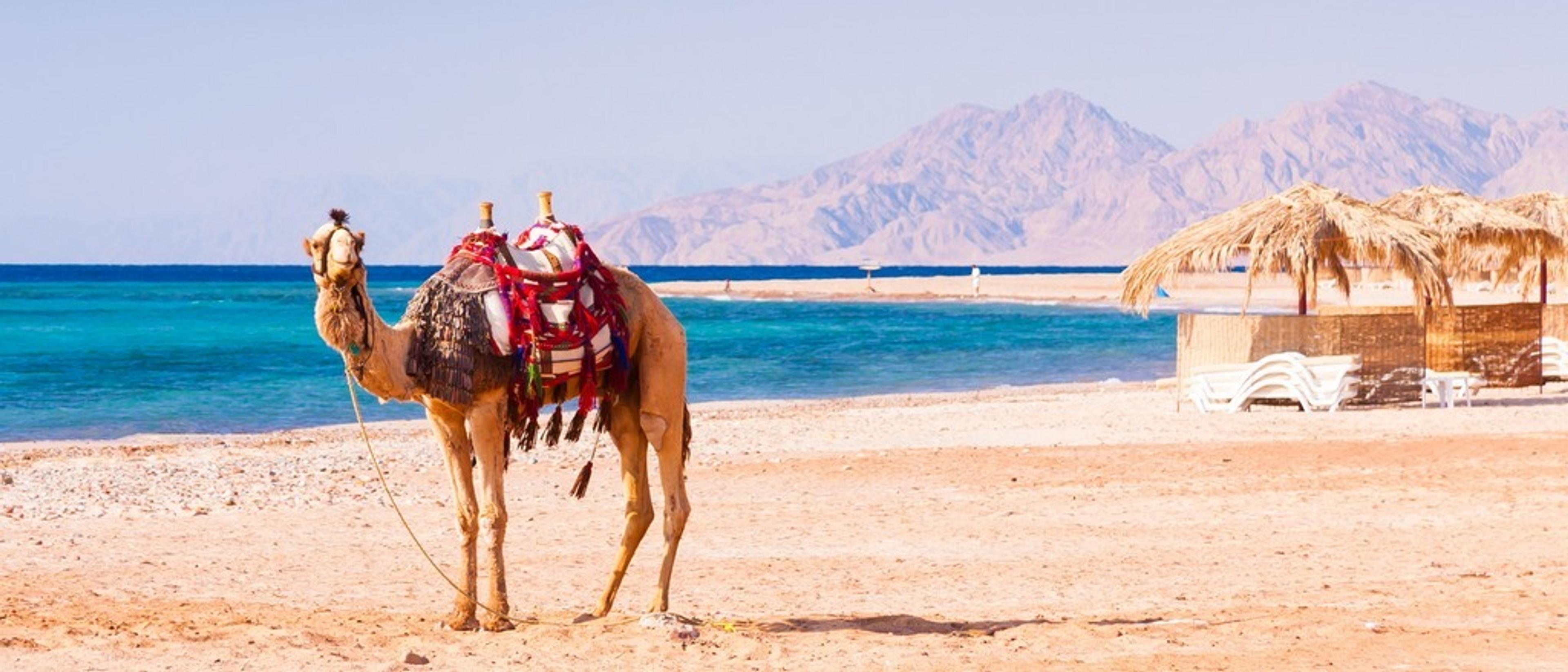 Hurghada 🌊 at £233 rtn from Cardiff