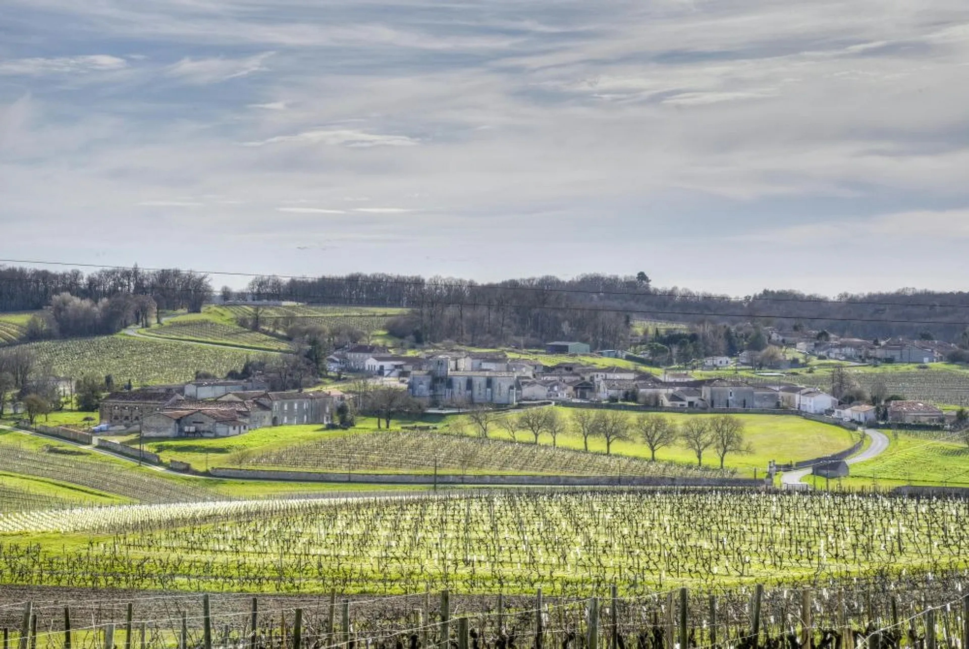Verdant vineyards stretch across the sleepy landscape near Saint-Émilion, France.