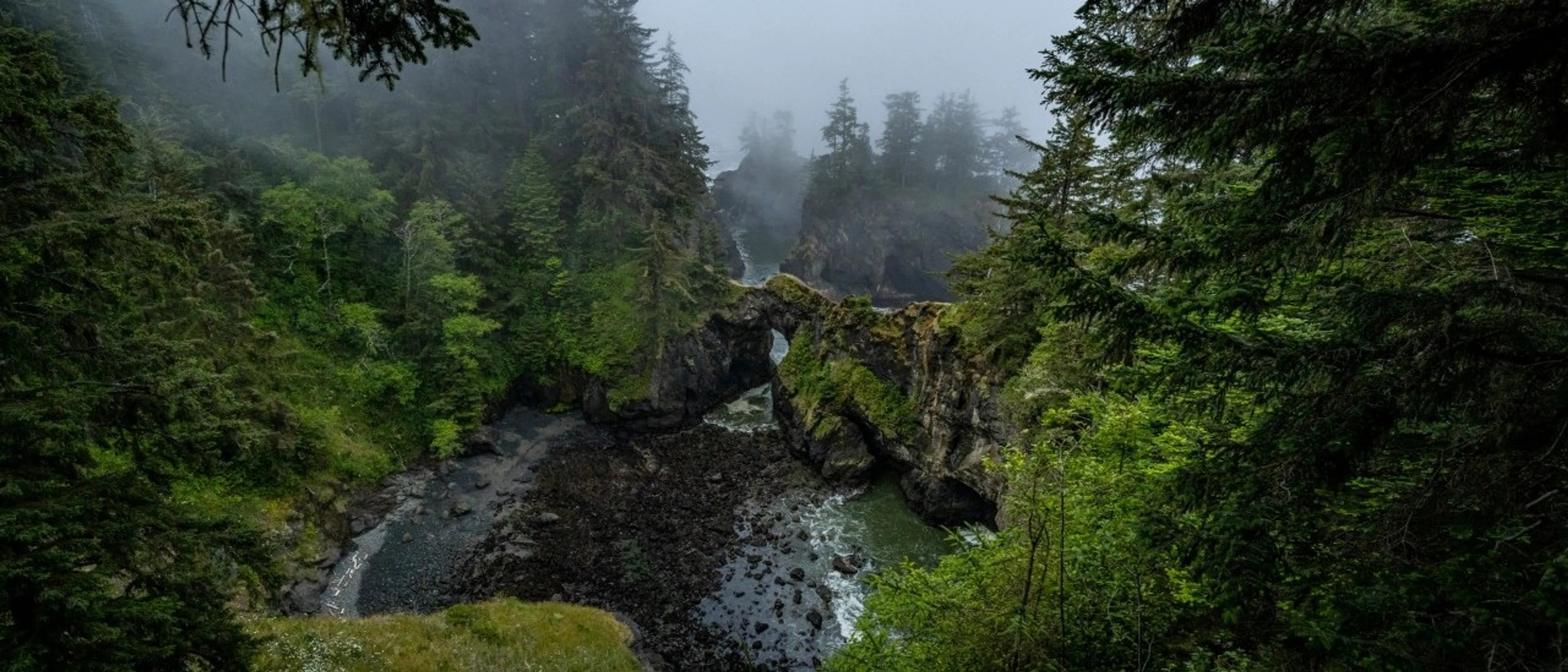 How to plan the best Oregon Coast road trip