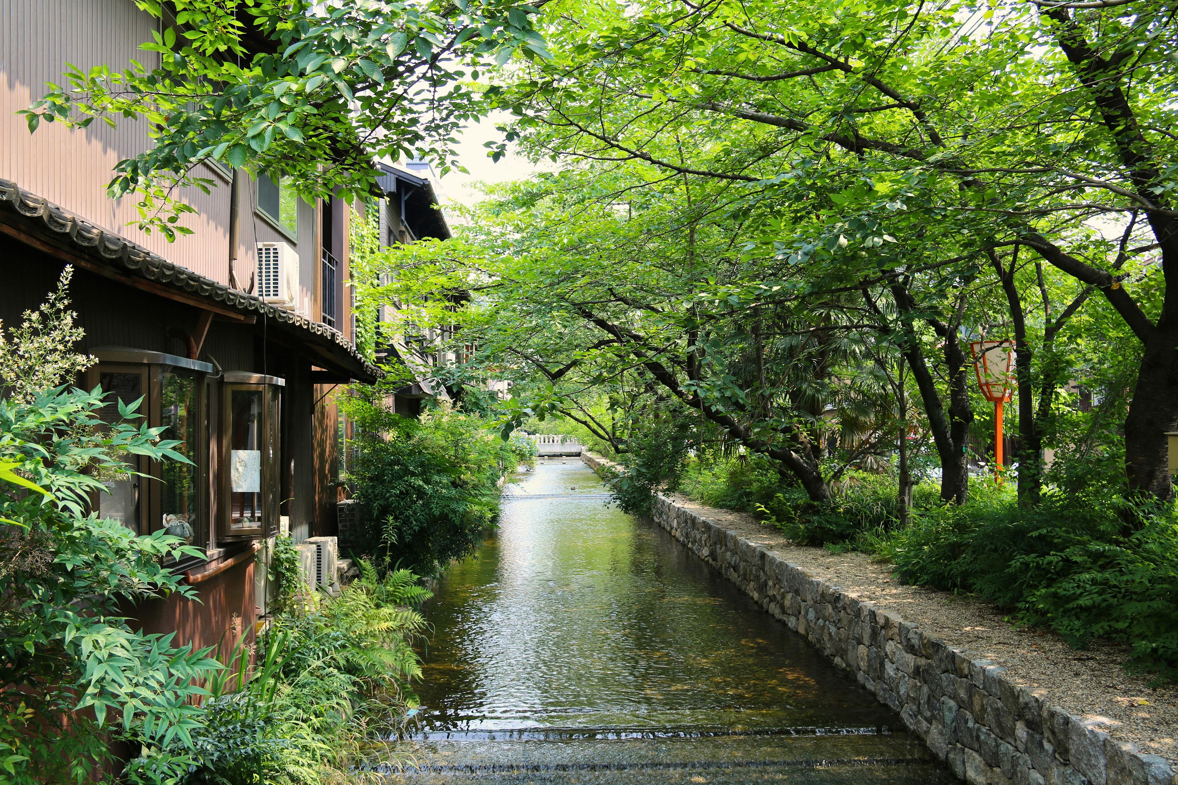 A serene canal lined with lush greenery and traditional architecture in Kyoto, Japan reflects tranquil beauty.