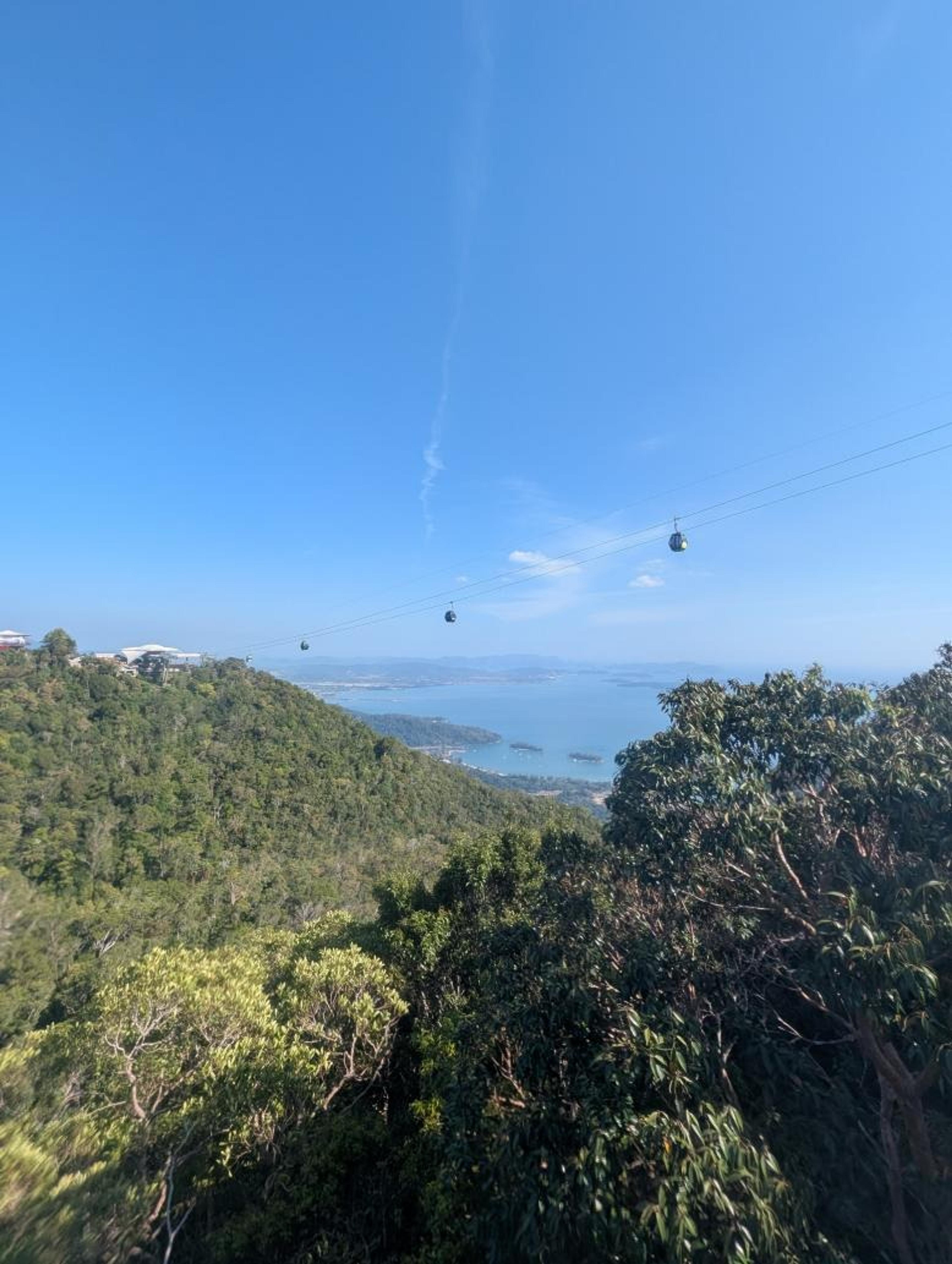 Cable cars glide over lush greenery and hills 