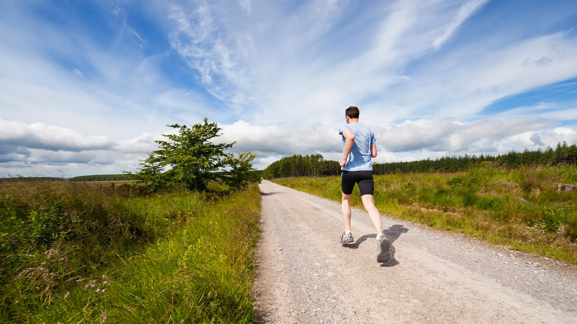 Food and Drink Runs Around the World