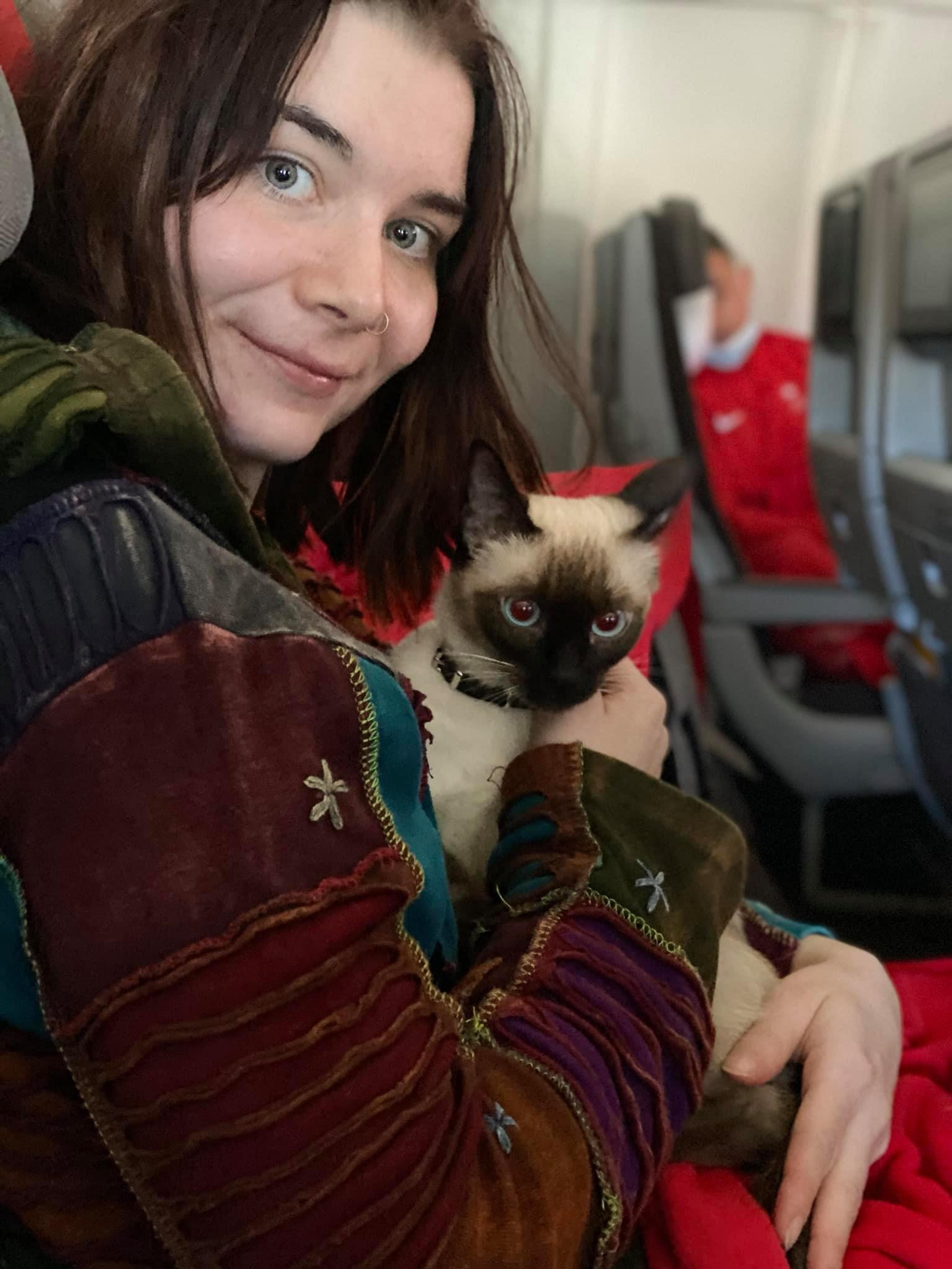 A person with a colorful jacket cuddles a Siamese cat on an airplane.