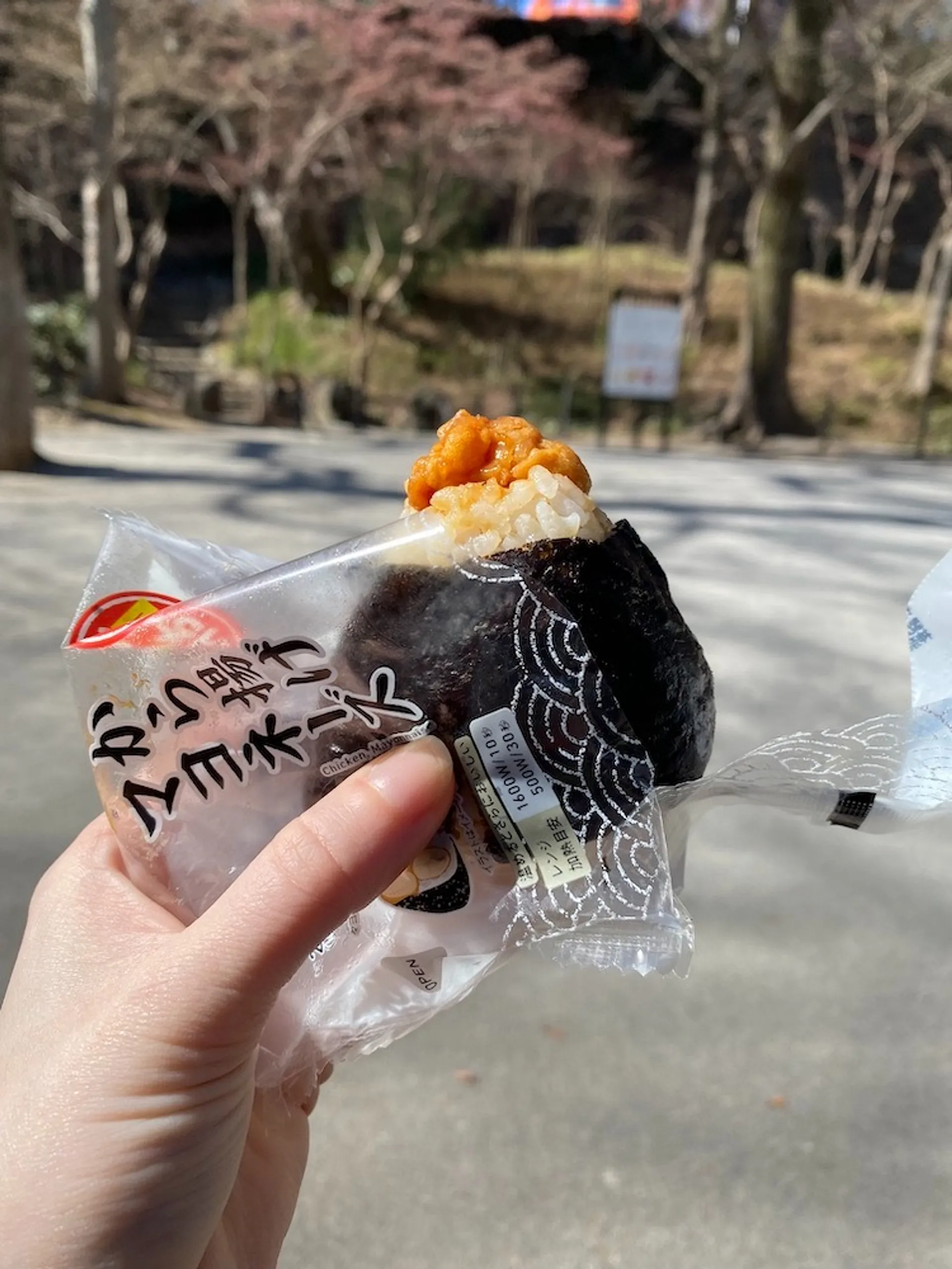 Holding a packaged onigiri in a sunlit park in Japan.