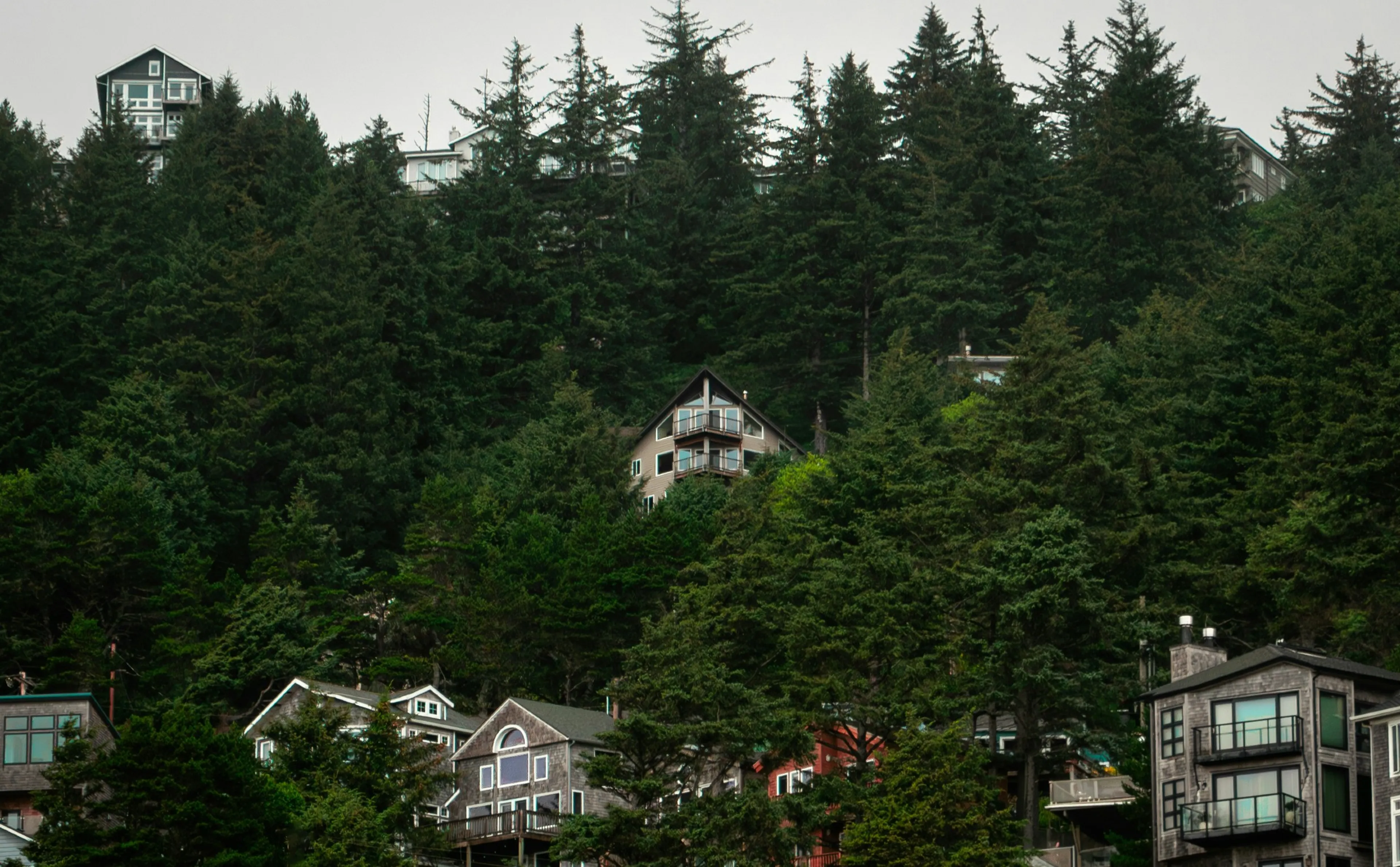 Houses nestled among dense evergreen trees cling to the hillside