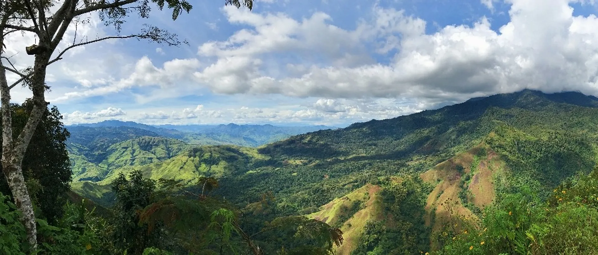 Papua New Guinea