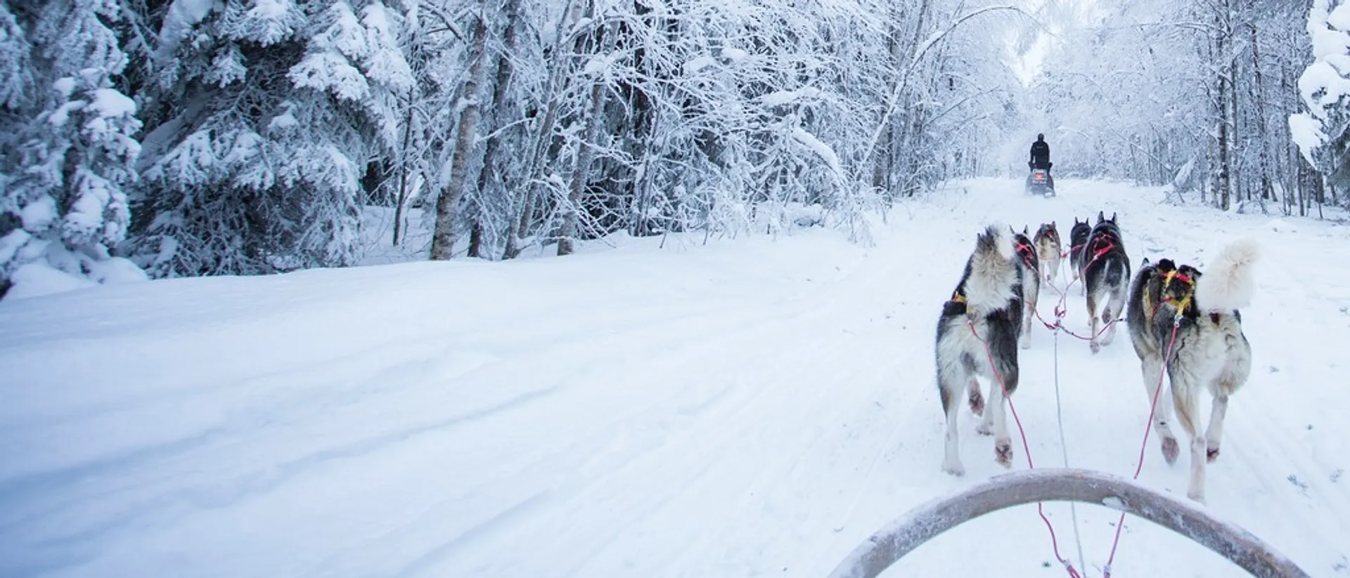 Finland