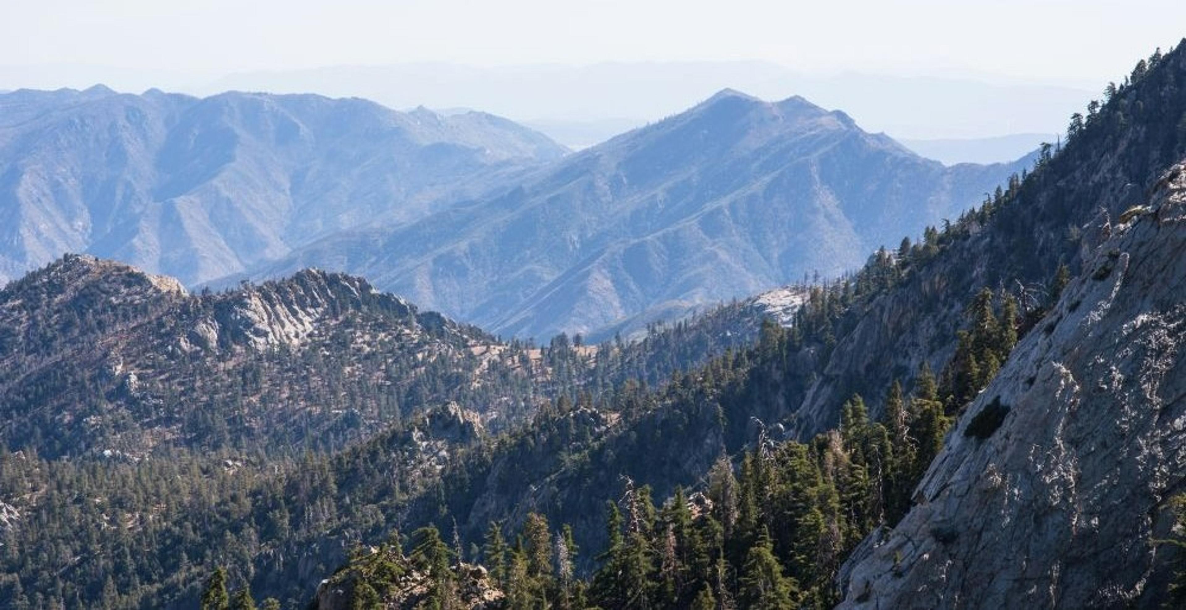 A view of the mountainous landscape of the San Jacinto Mountains in California, with ridges covered in dense pine forests.
