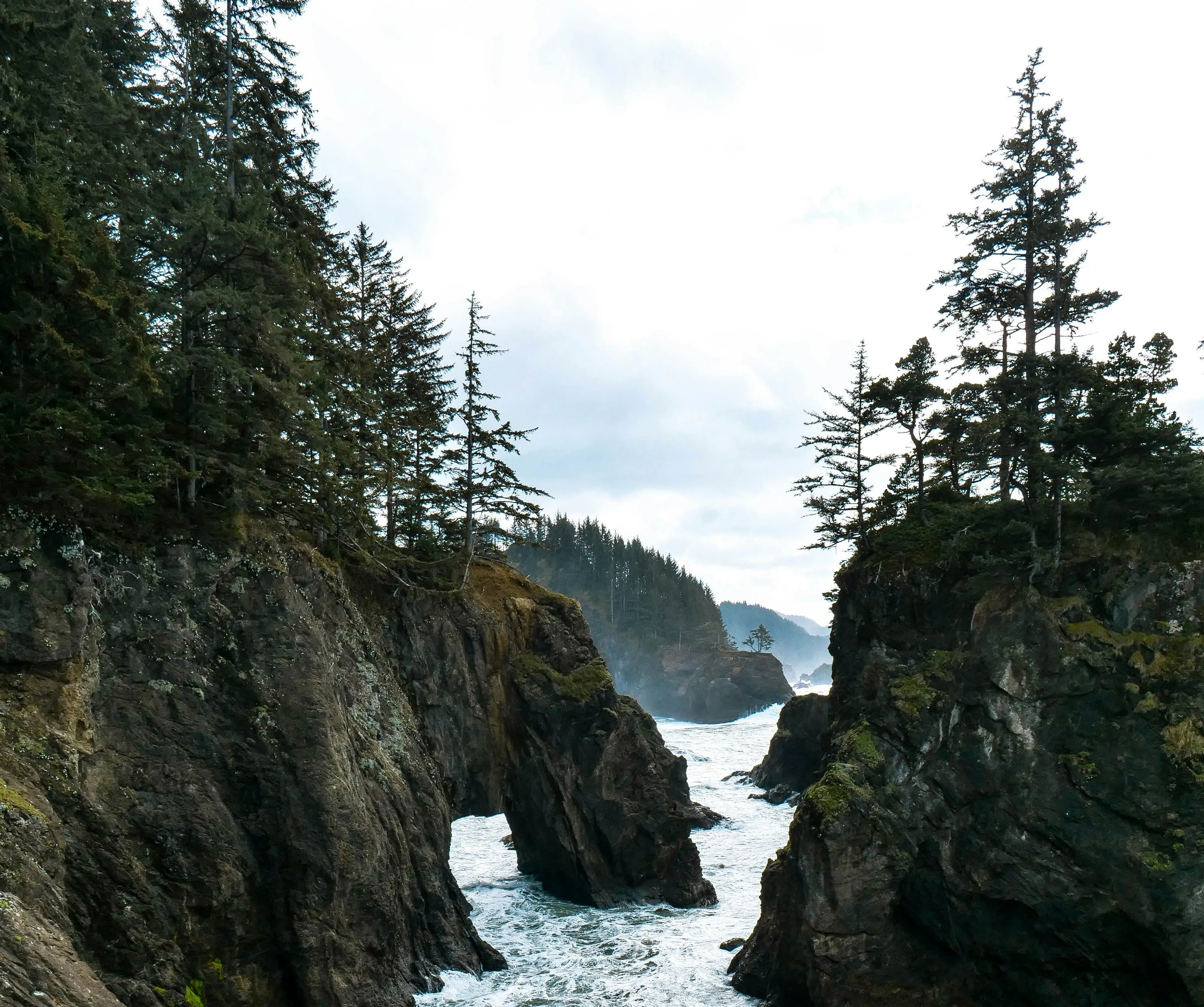 Towering cliffs and dense evergreen trees frame the rugged coastline