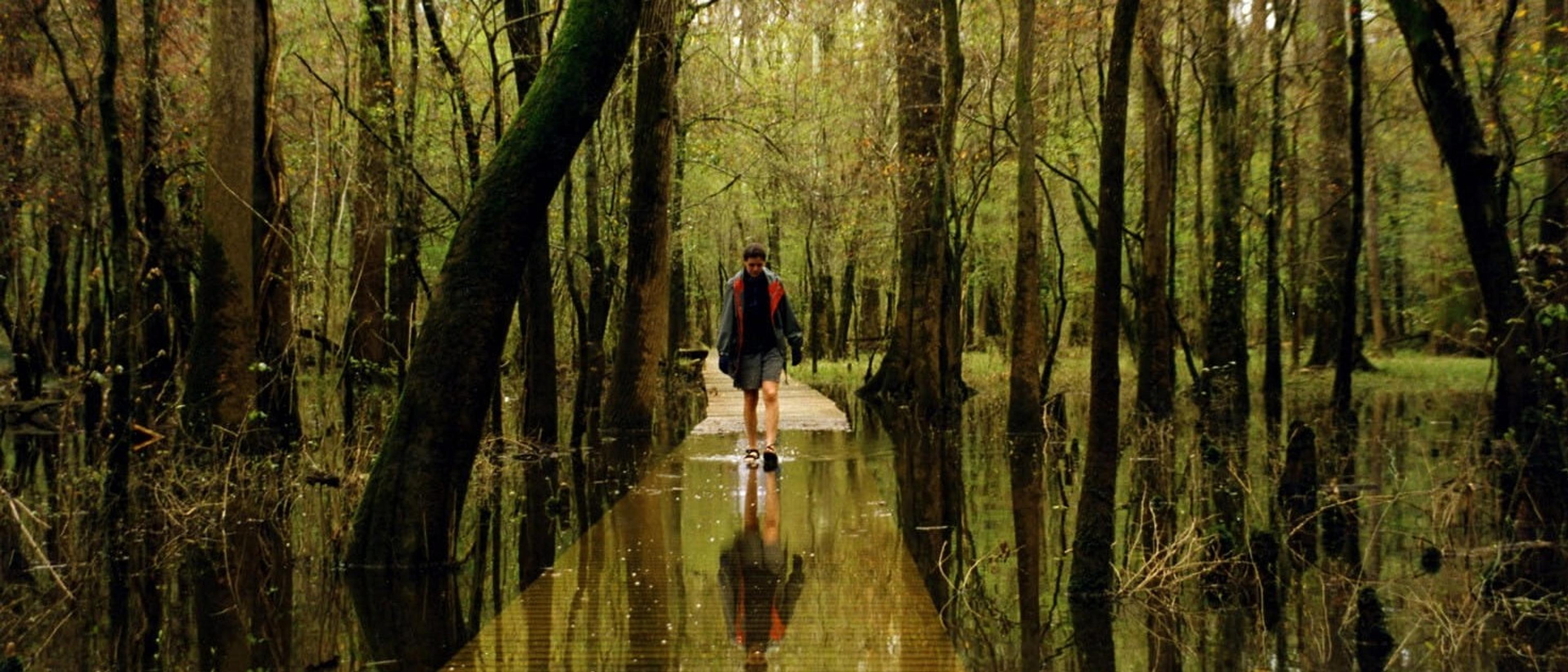Passport to the Parks: Meet Congaree National Park