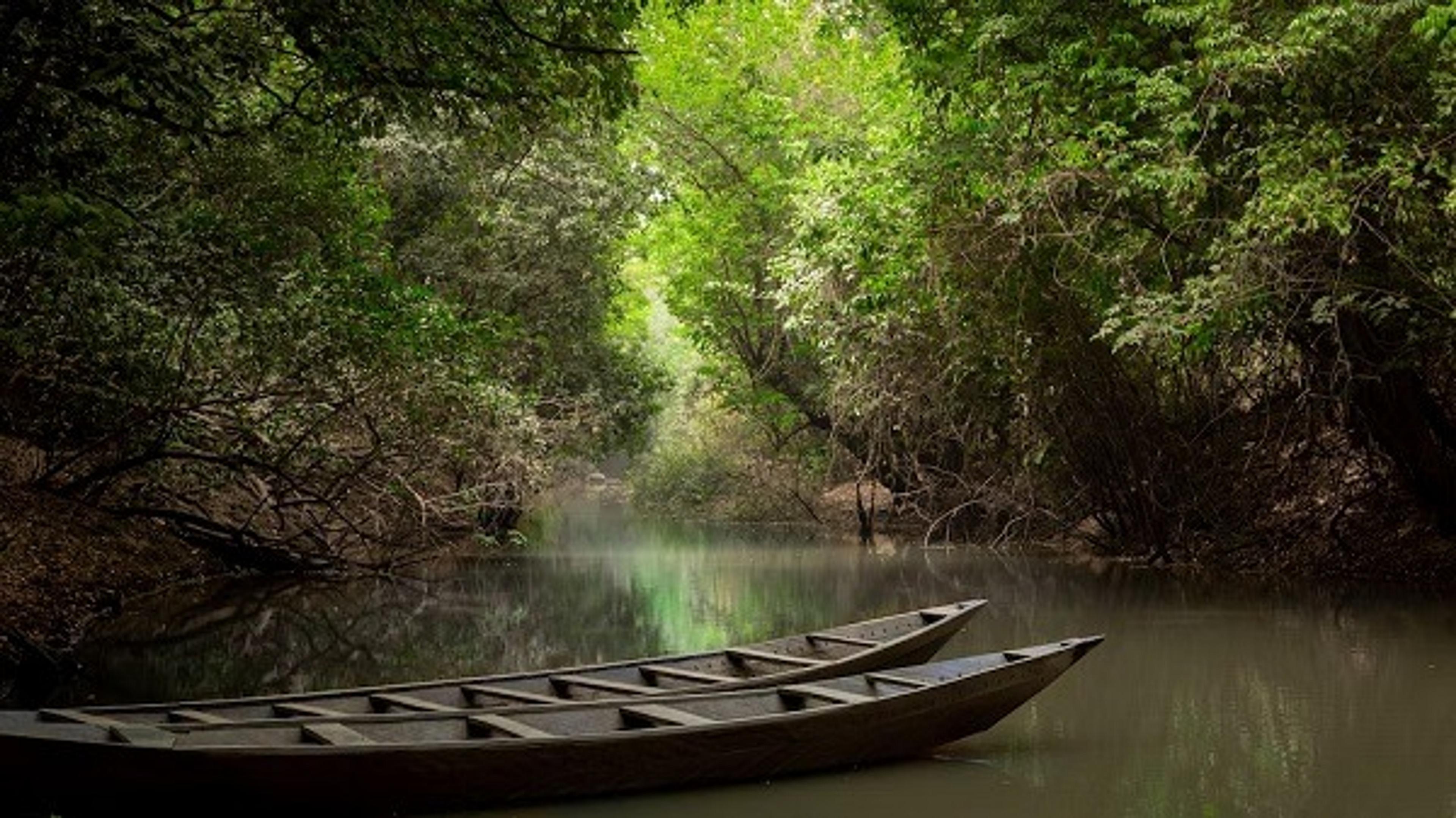 Two wooden boats float on a secluded river, surrounded by trees