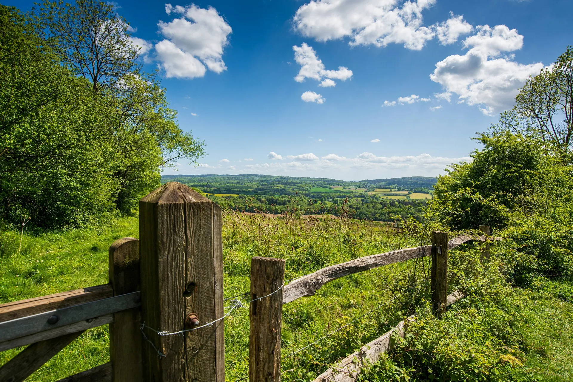 Surrey Hills National Landscape